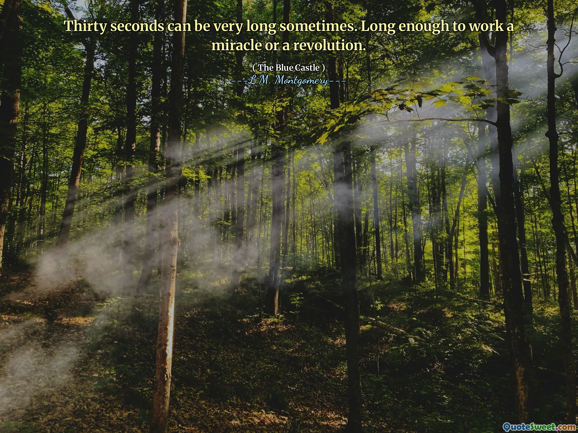 Thirty seconds can be very long sometimes. Long enough to work a miracle or a revolution.