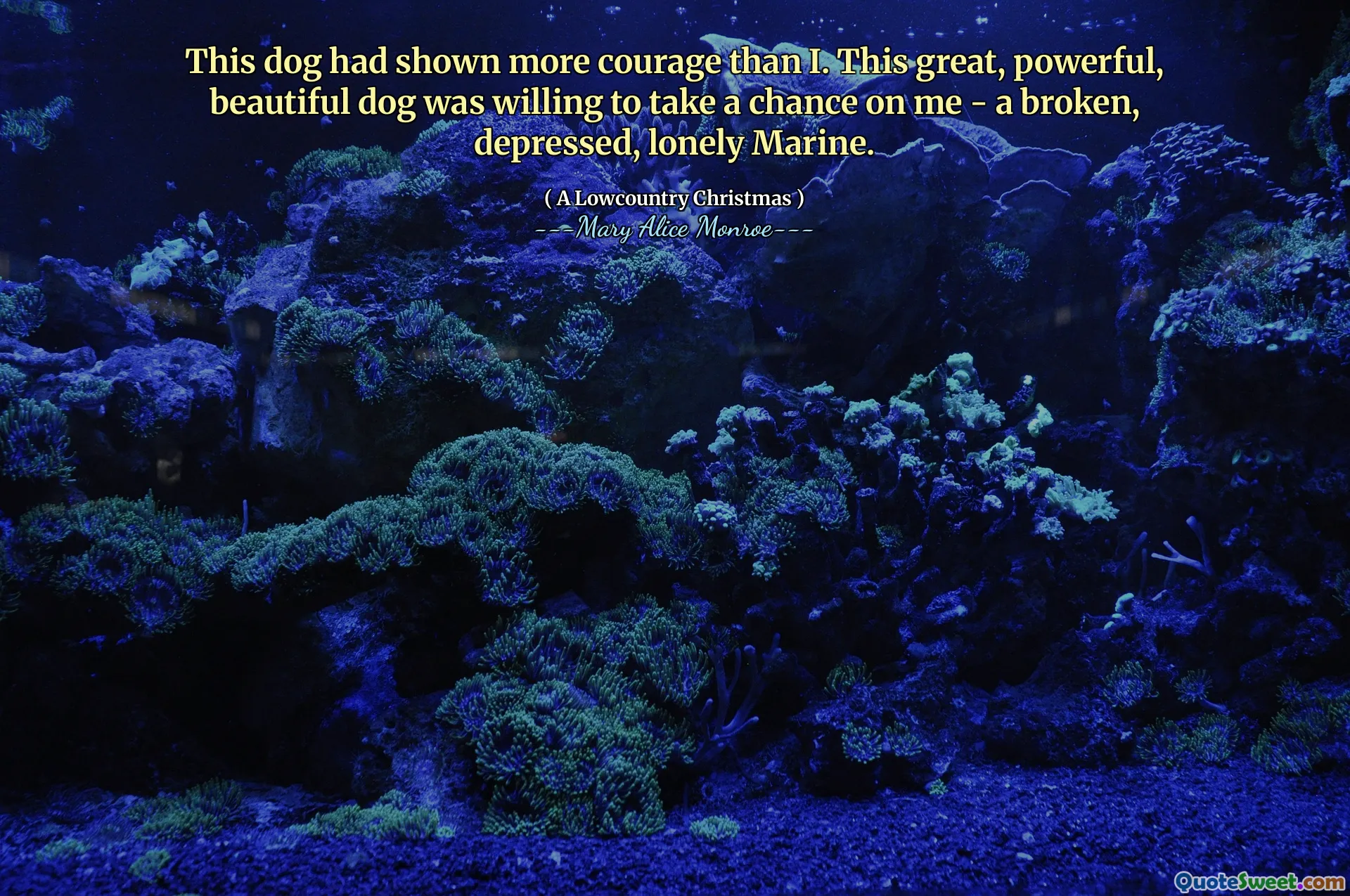 Con chó này đã thể hiện nhiều lòng can đảm hơn tôi. Con chó xinh đẹp, mạnh mẽ, xinh đẹp này sẵn sàng nắm lấy cơ hội cho tôi - một biển bị phá vỡ, chán nản, cô đơn.