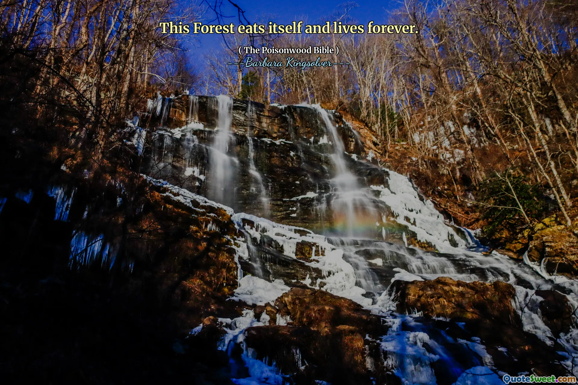 Questa foresta si mangia e vive per sempre.