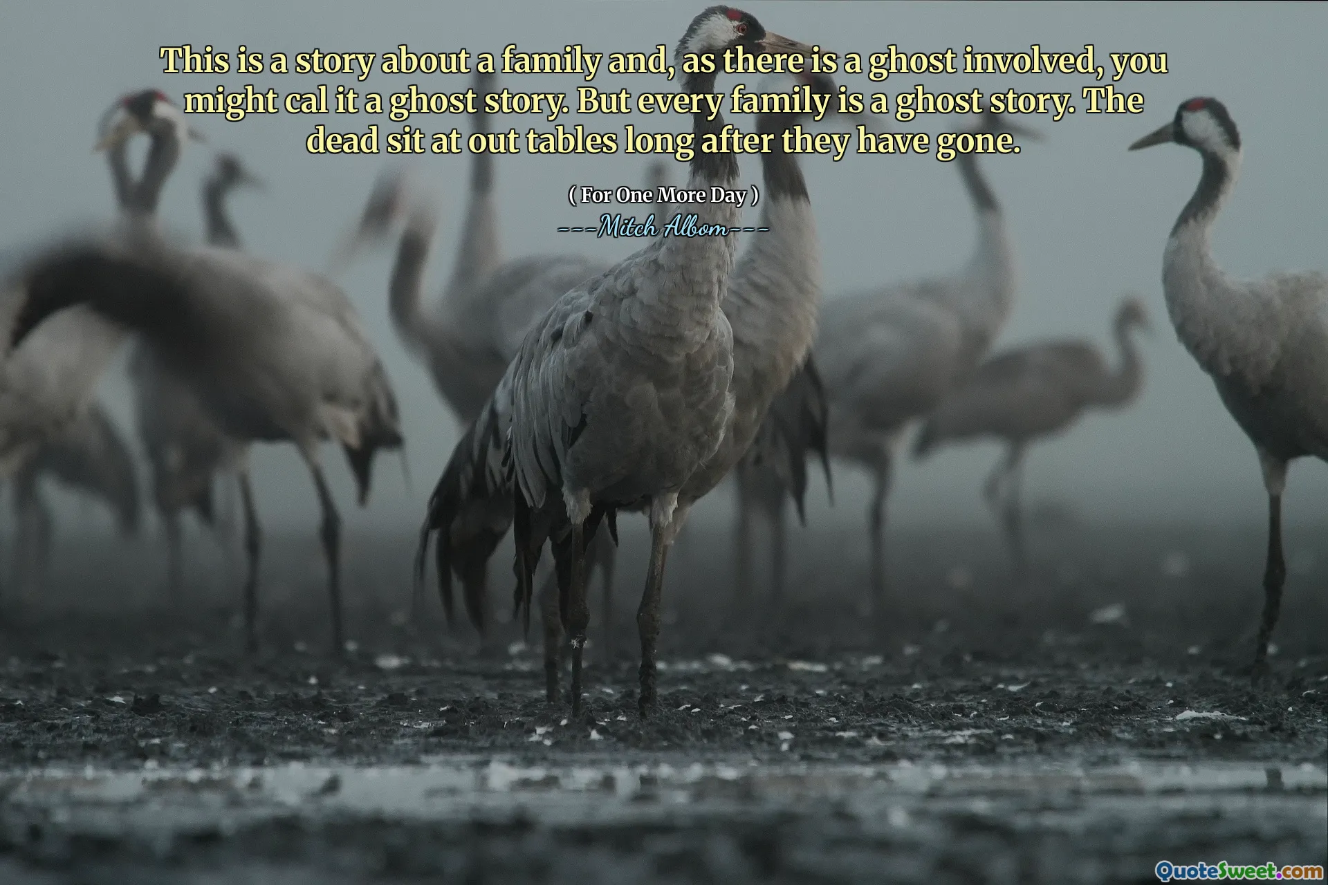 This is a story about a family and, as there is a ghost involved, you might cal it a ghost story. But every family is a ghost story. The dead sit at out tables long after they have gone.