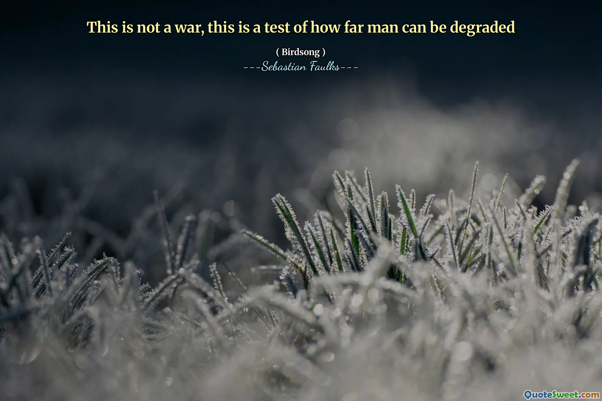 This is not a war, this is a test of how far man can be degraded