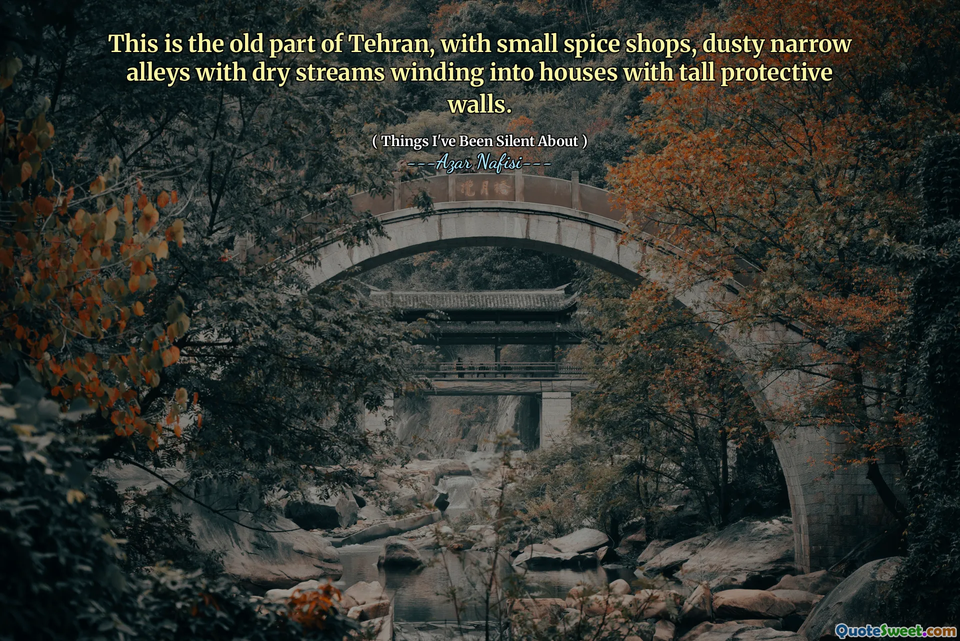 This is the old part of Tehran, with small spice shops, dusty narrow alleys with dry streams winding into houses with tall protective walls.