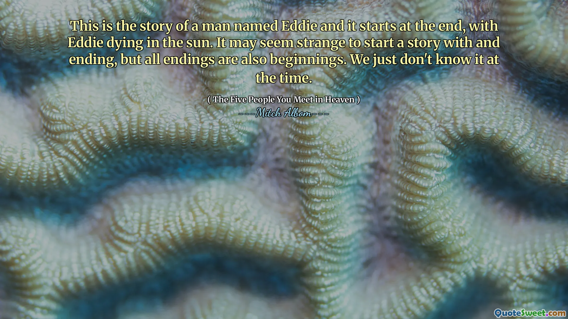 这是一个名叫埃迪的人的故事，故事从最后开始，埃迪在阳光下死去。以和结束来开始一个故事似乎很奇怪，但所有的结局也是开始。我们只是当时不知道而已。