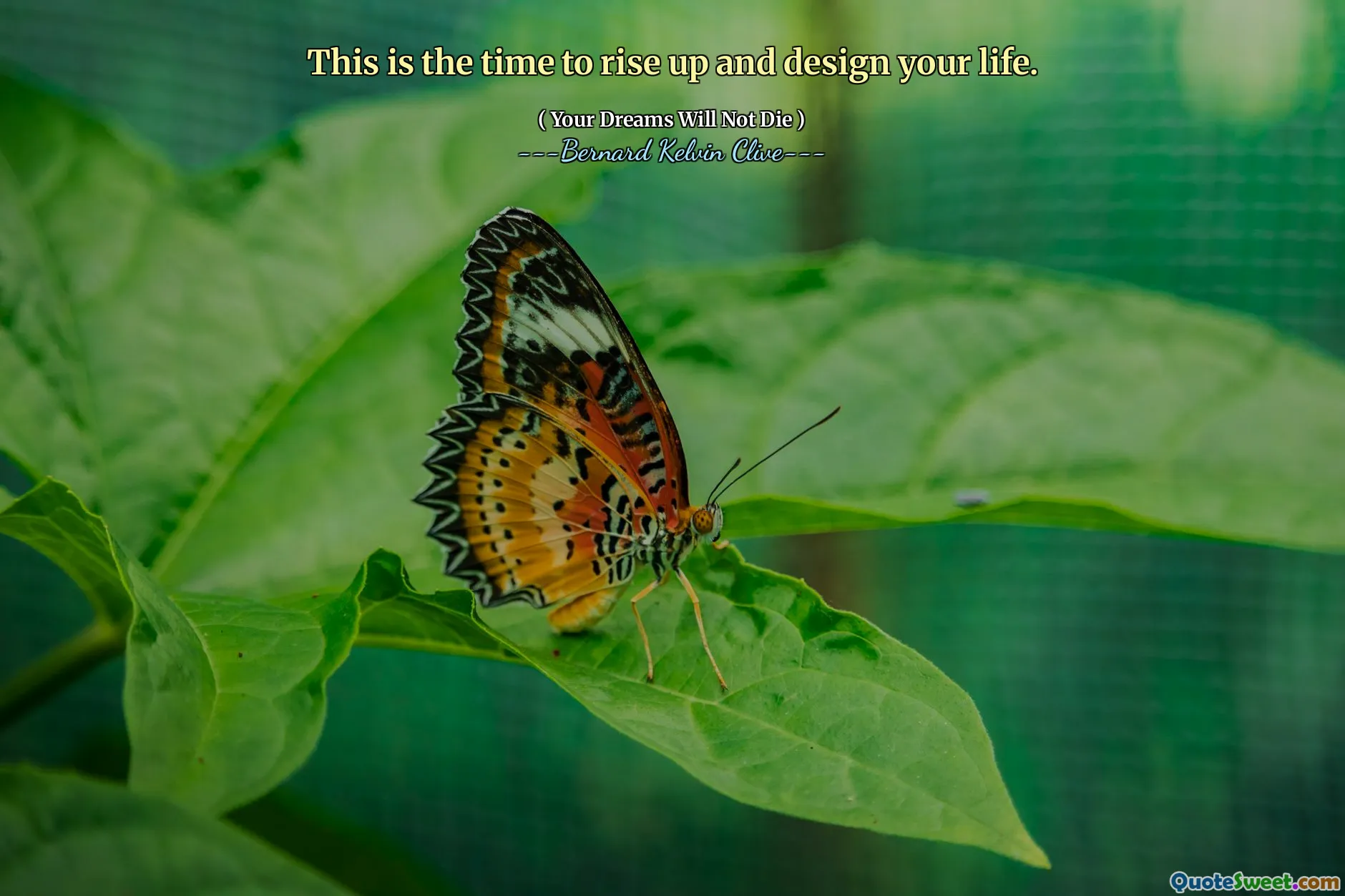 This is the time to rise up and design your life.