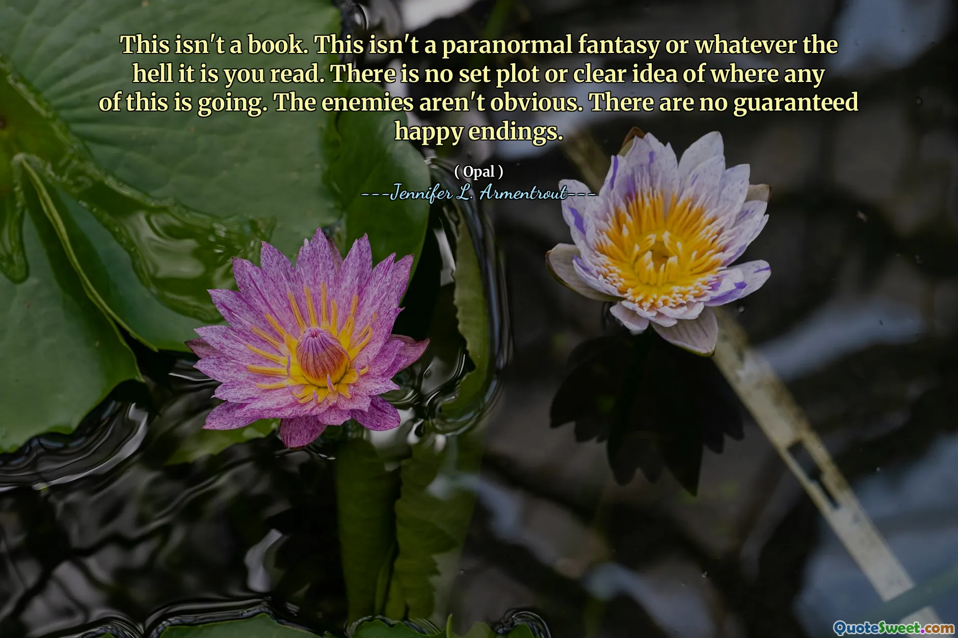 This isn't a book. This isn't a paranormal fantasy or whatever the hell it is you read. There is no set plot or clear idea of where any of this is going. The enemies aren't obvious. There are no guaranteed happy endings.