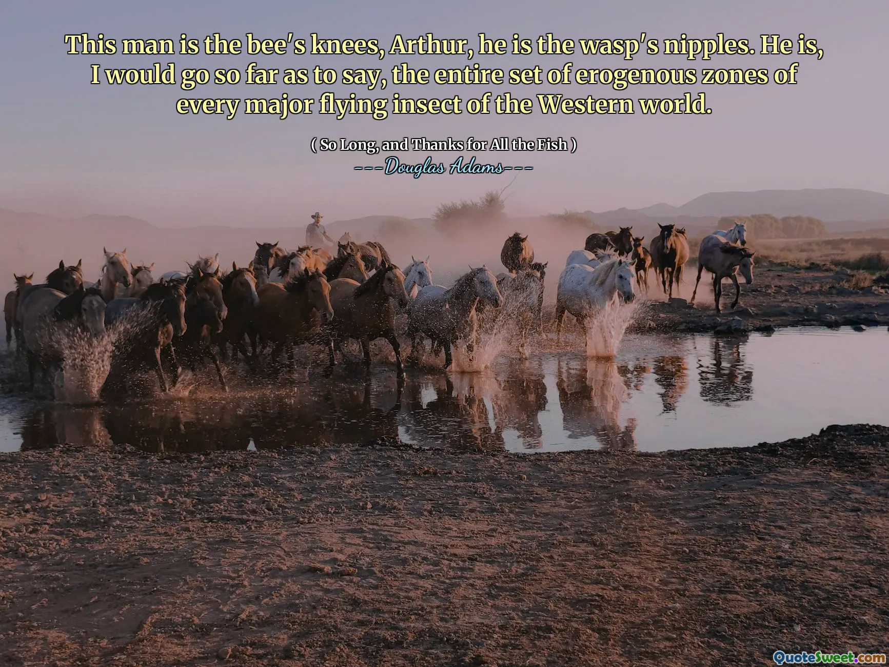 This man is the bee's knees, Arthur, he is the wasp's nipples. He is, I would go so far as to say, the entire set of erogenous zones of every major flying insect of the Western world.