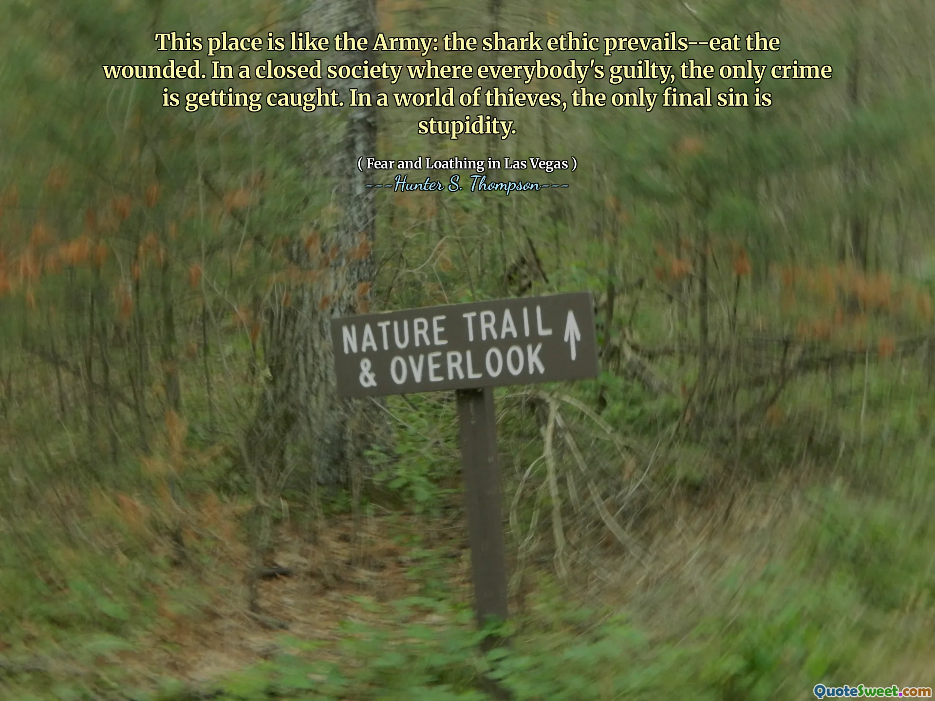 Tempat ini seperti Angkatan Darat: Etika hiu menang-makan yang terluka. Dalam masyarakat tertutup di mana semua orang bersalah, satu -satunya kejahatan tertangkap. Di dunia pencuri, satu -satunya dosa terakhir adalah kebodohan.
