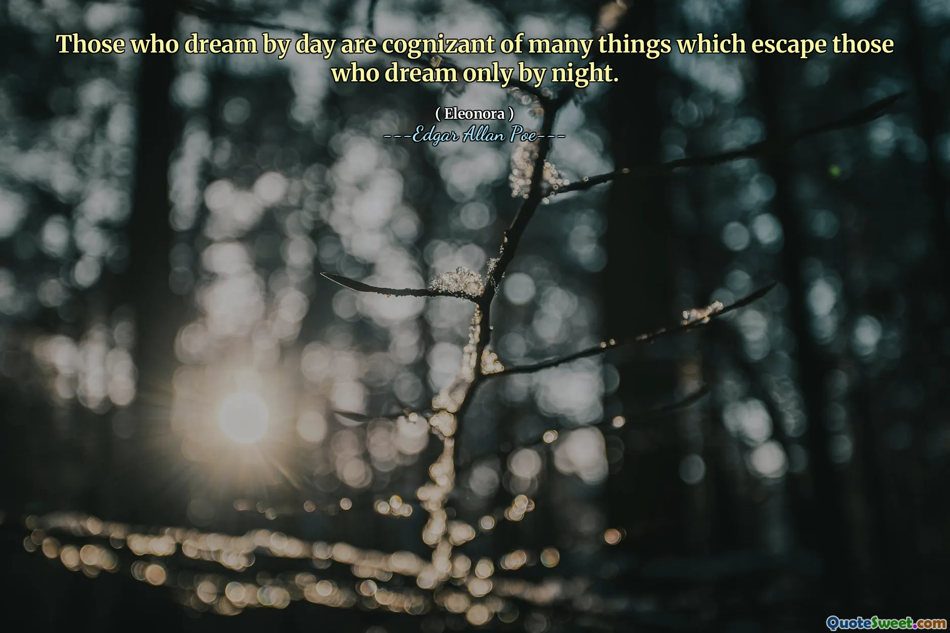 Those who dream by day are cognizant of many things which escape those who dream only by night.