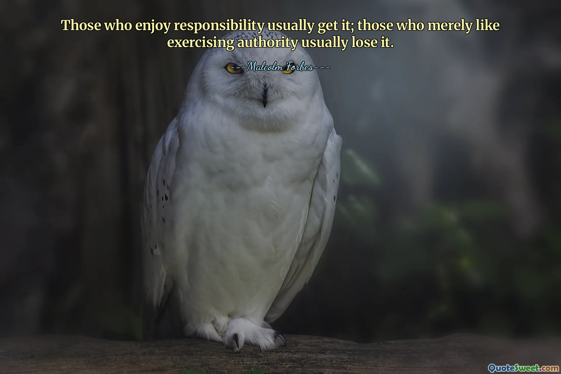 Ti, kteří mají rádi zodpovědnost, ji obvykle dostanou; ti, kteří pouze rádi vykonávají autoritu, ji obvykle ztrácejí.
