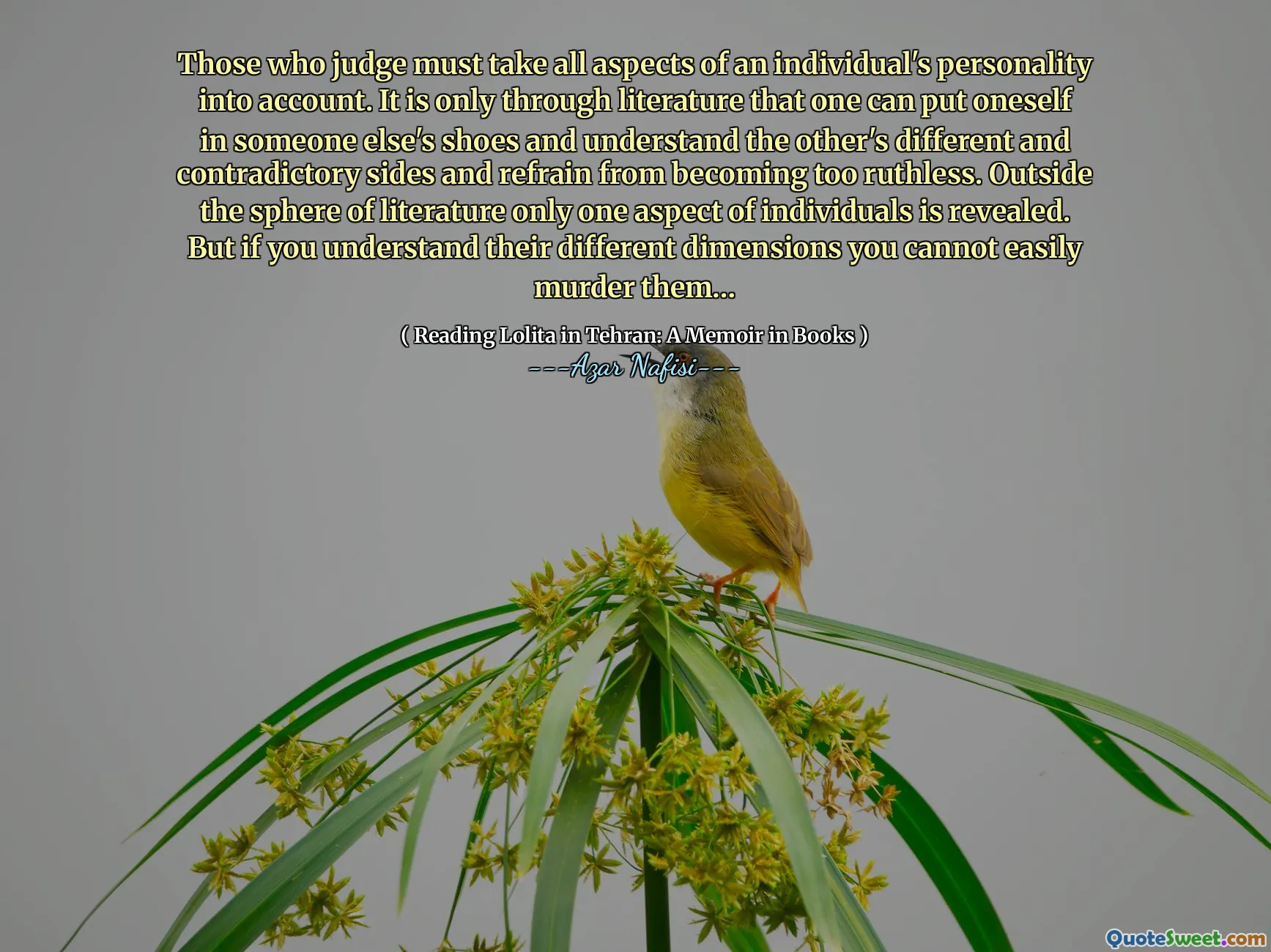 يجب على أولئك الذين يحكمون أن يأخذوا جميع جوانب شخصية الفرد في الاعتبار. فقط من خلال الأدب يمكن للمرء أن يضع نفسه في أحذية شخص آخر وفهم الجوانب المختلفة والمتناقضة والامتناع عن أن تصبح قاسية للغاية. خارج مجال الأدب يتم الكشف عن جانب واحد فقط من الأفراد. ولكن إذا فهمت أبعادها المختلفة ، فلا يمكنك قتلها بسهولة ...