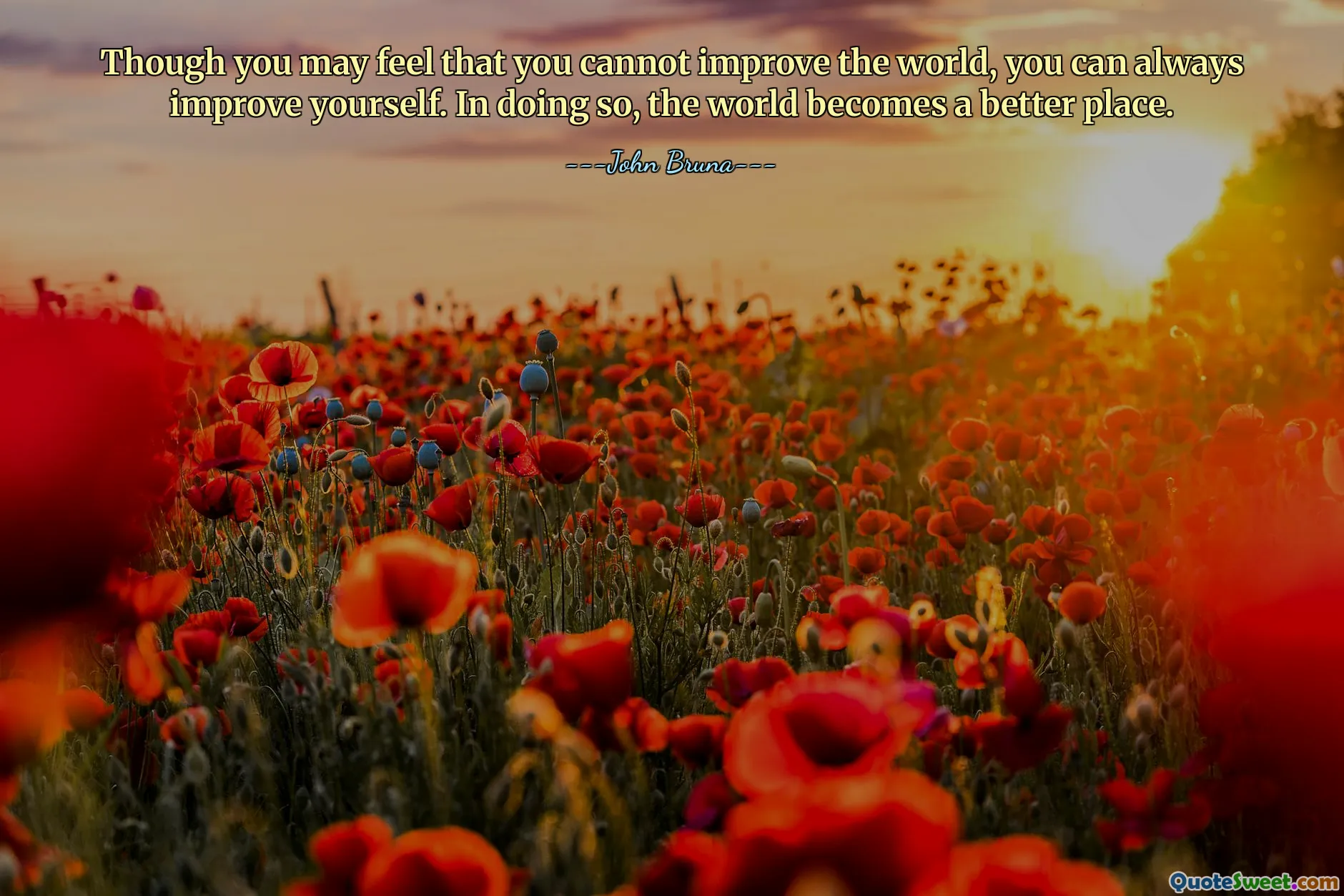 Though you may feel that you cannot improve the world, you can always improve yourself. In doing so, the world becomes a better place.
