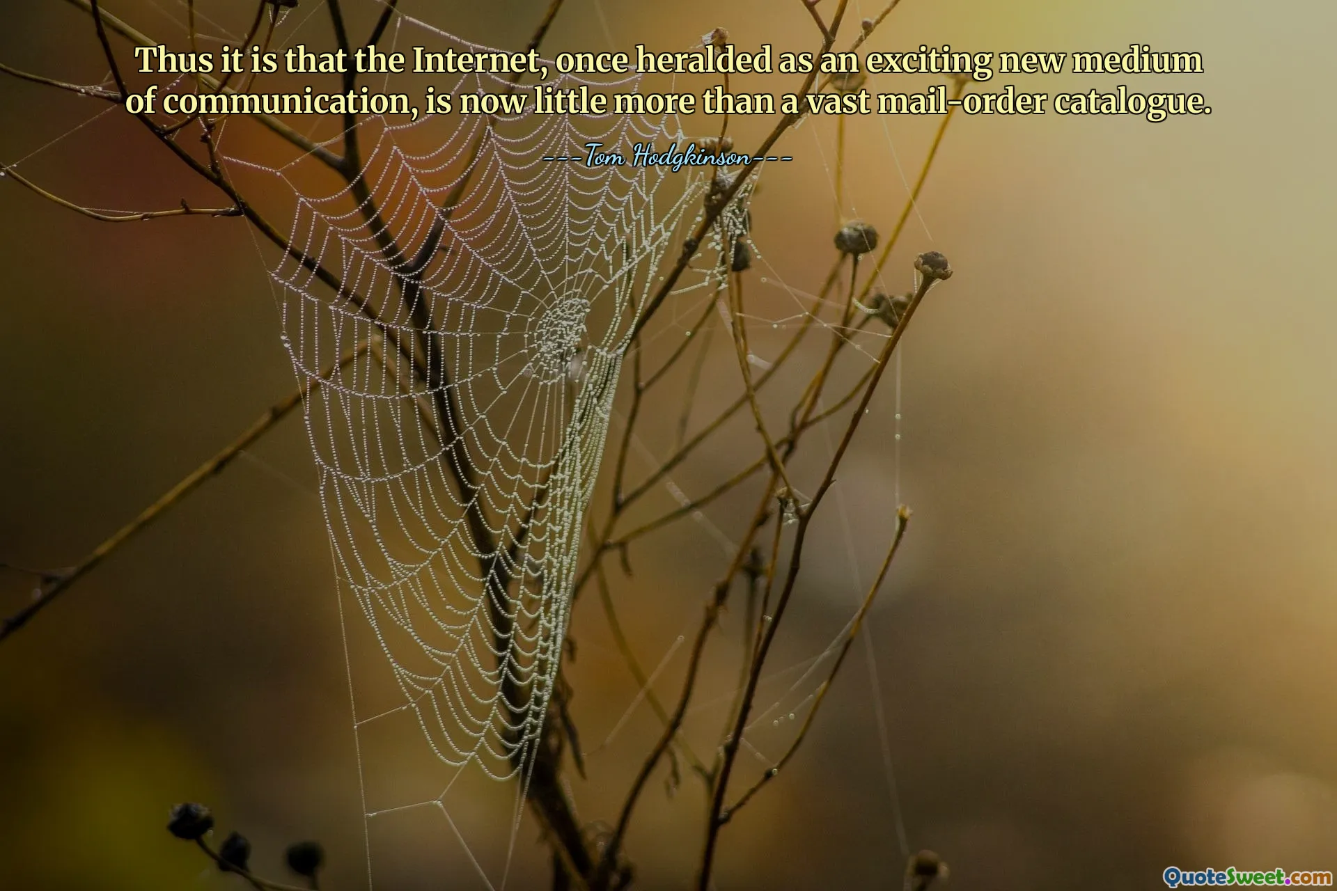 Thus it is that the Internet, once heralded as an exciting new medium of communication, is now little more than a vast mail-order catalogue.