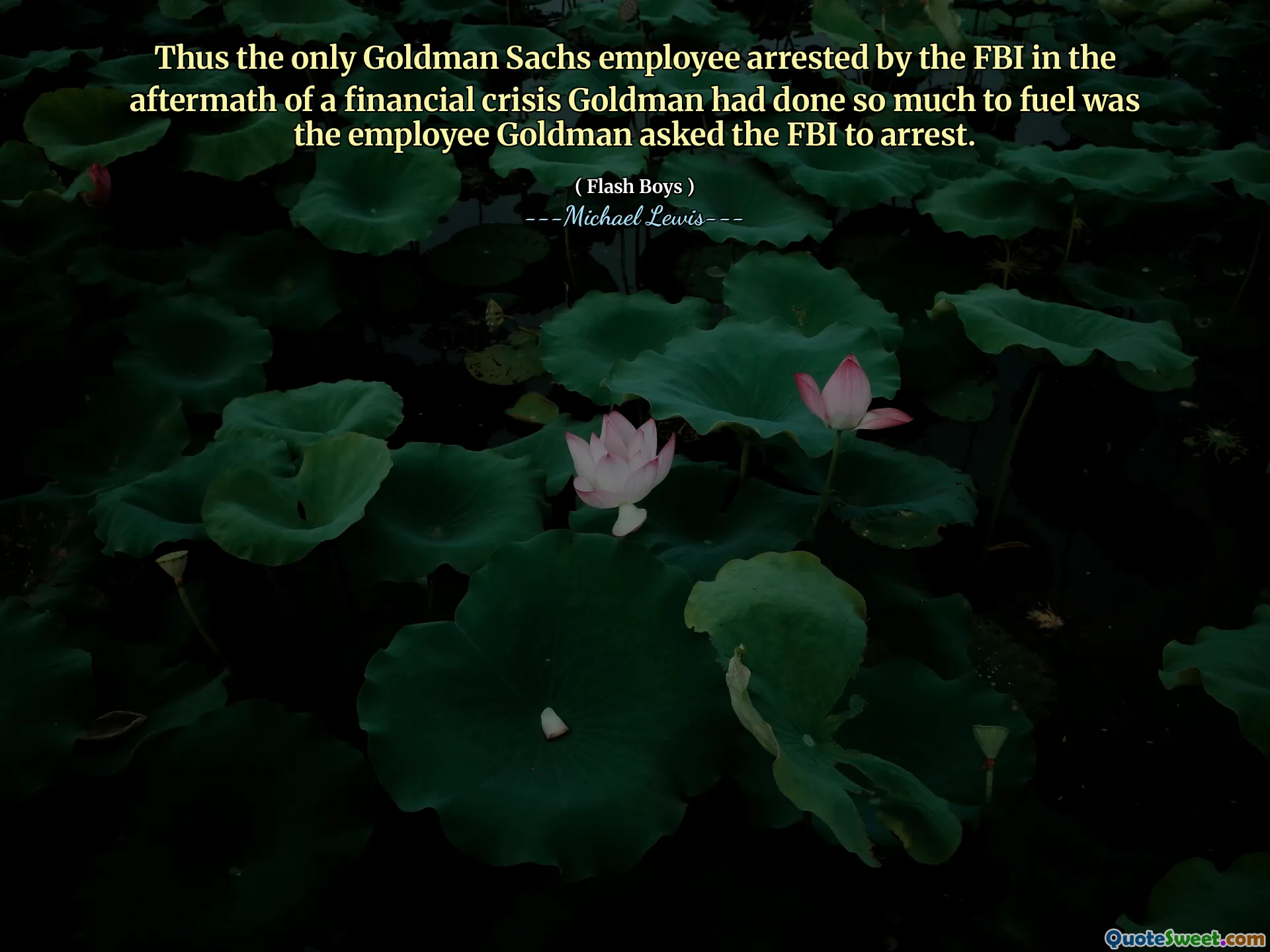 Por lo tanto, el único empleado de Goldman Sachs arrestado por el FBI después de una crisis financiera que Goldman había hecho tanto para el combustible, el empleado Goldman le pidió al FBI que lo arrestara.