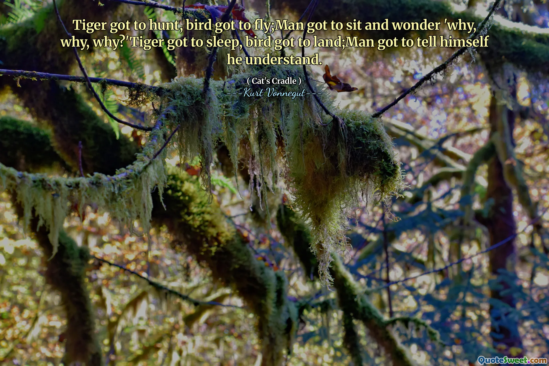 Tiger phải đi săn, Bird phải bay; người đàn ông phải ngồi và tự hỏi 'tại sao, tại sao?