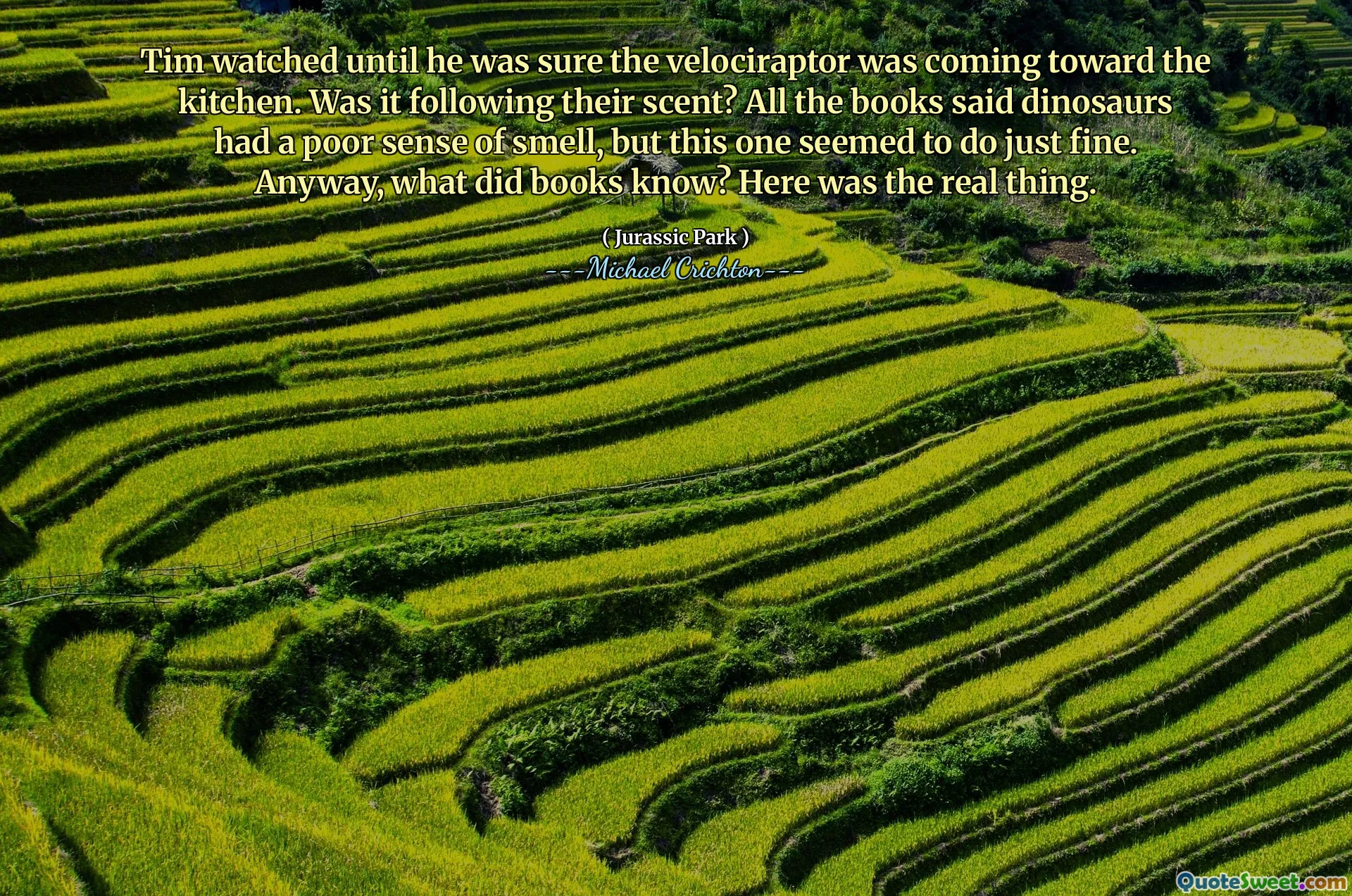 蒂姆一直看着直到他确定速度促妇女来到厨房。是在他们的气味之后吗？所有的书都说恐龙的嗅觉很差，但是这似乎很好。无论如何，书知道什么？这是真实的。