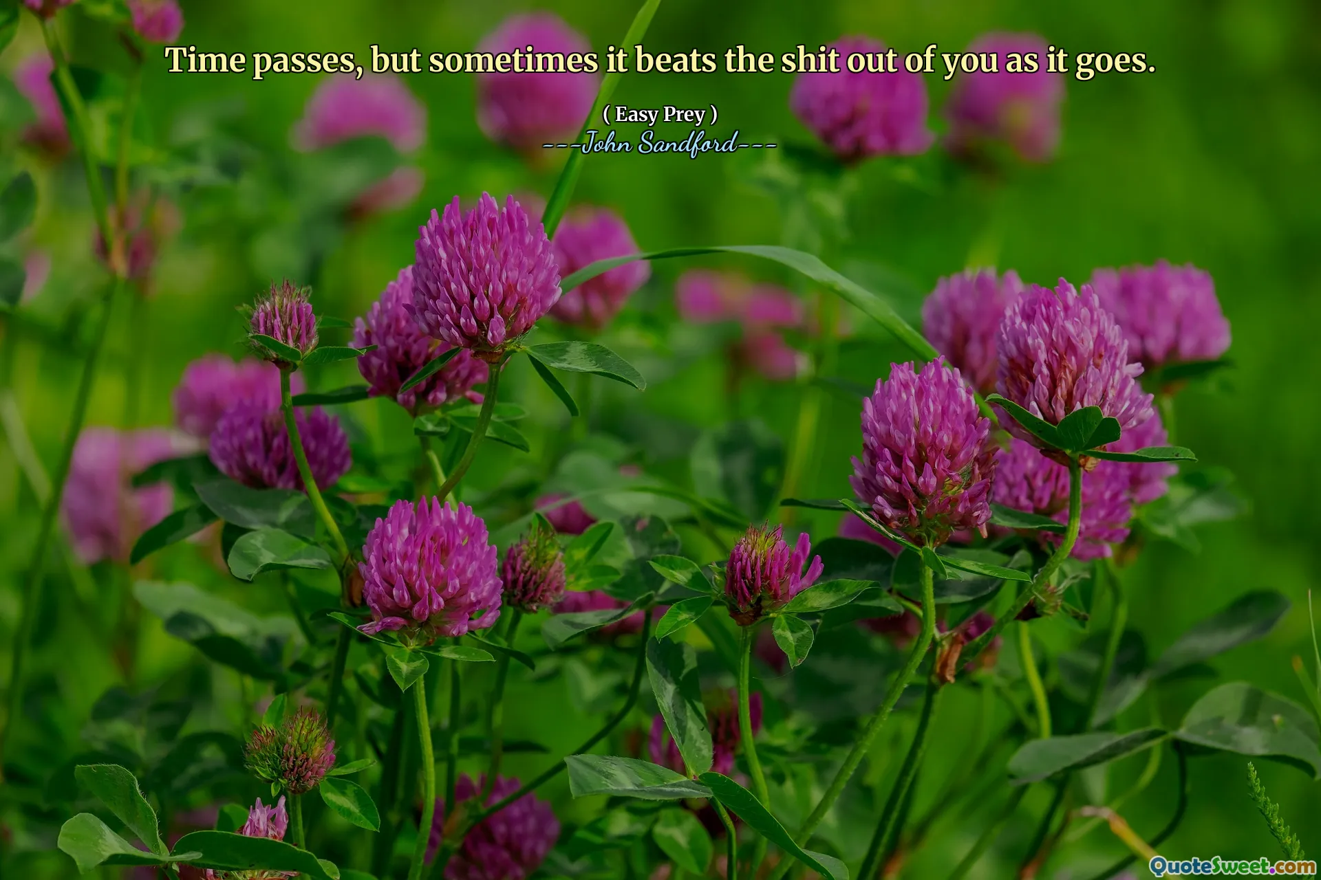 Time passes, but sometimes it beats the shit out of you as it goes.