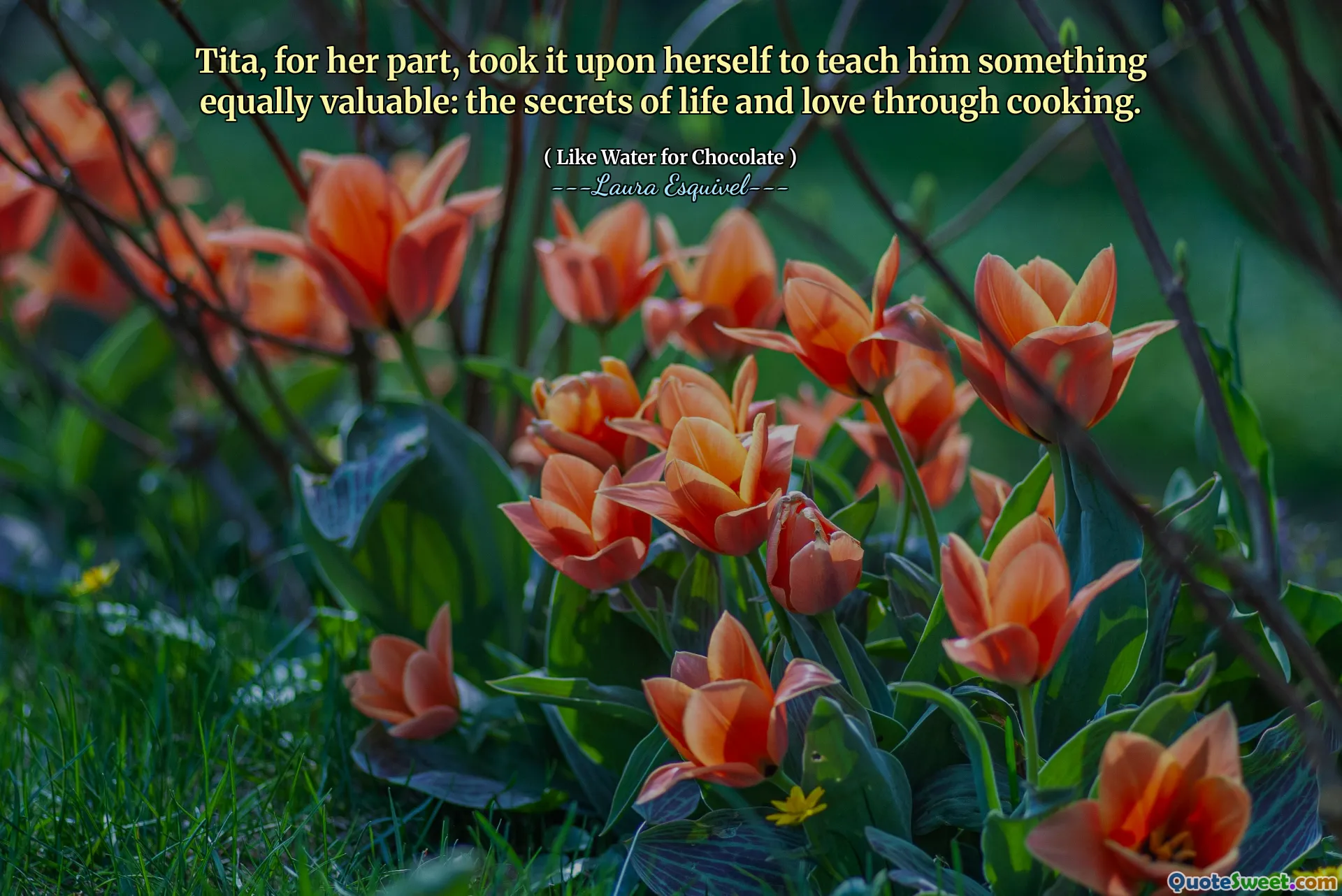 Tita, for her part, took it upon herself to teach him something equally valuable: the secrets of life and love through cooking.