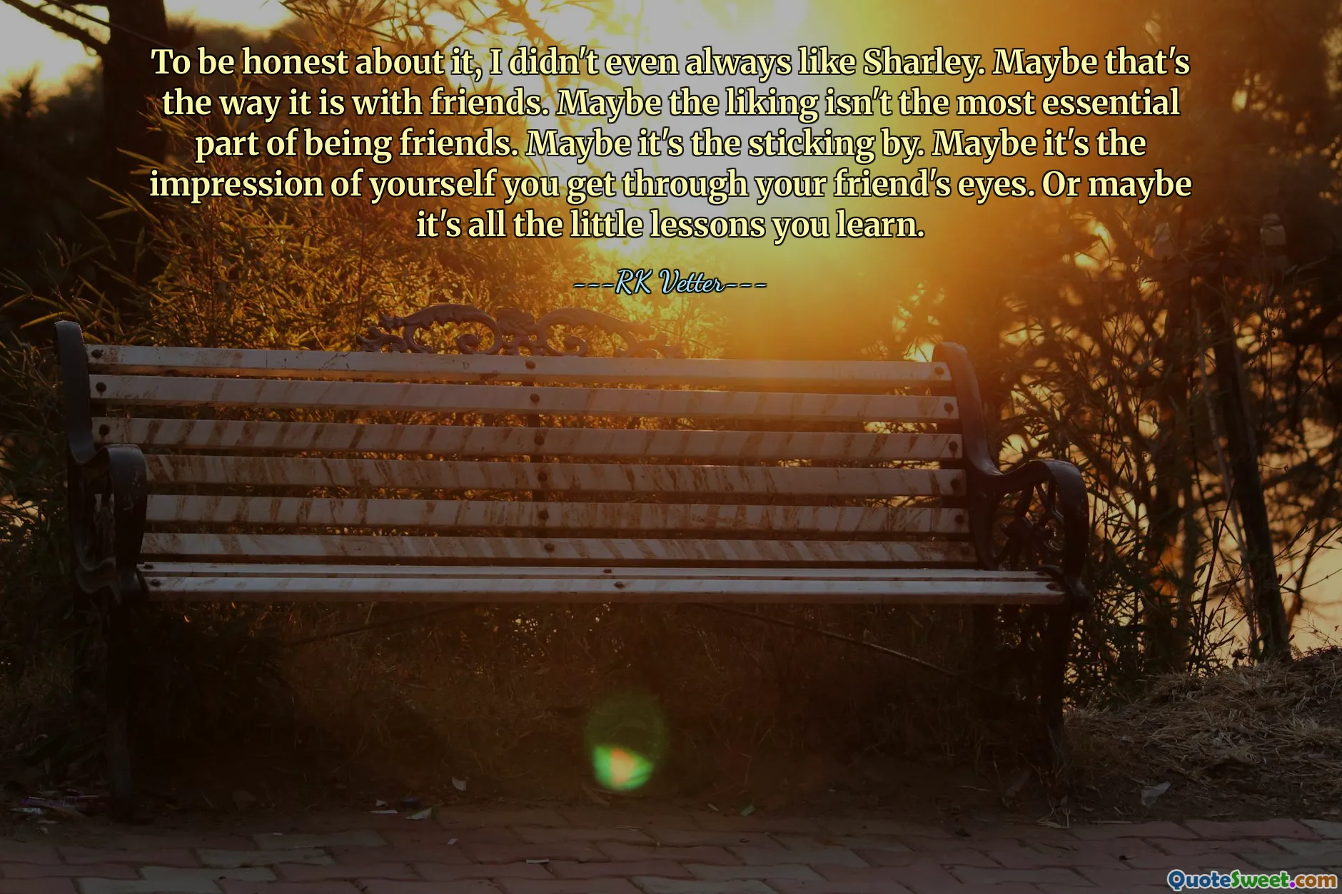 To be honest about it, I didn't even always like Sharley. Maybe that's the way it is with friends. Maybe the liking isn't the most essential part of being friends. Maybe it's the sticking by. Maybe it's the impression of yourself you get through your friend's eyes. Or maybe it's all the little lessons you learn.