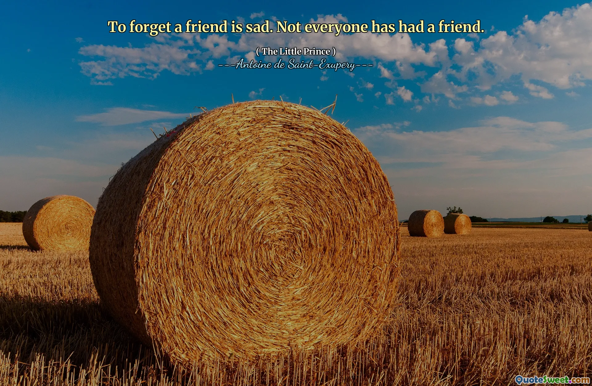 To forget a friend is sad. Not everyone has had a friend.