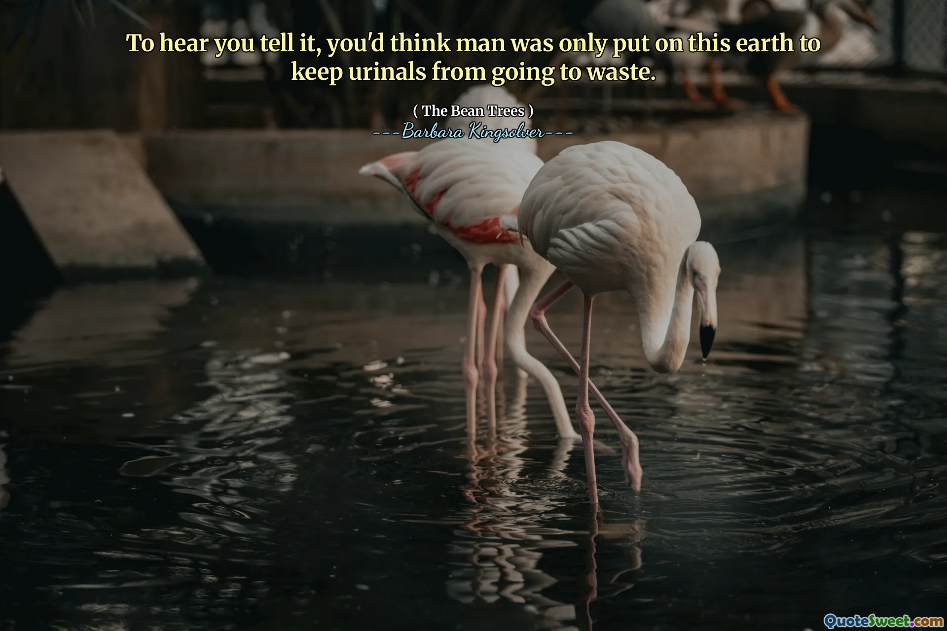 Pentru a vă auzi, spuneți -vă, ați crede că omul a fost pus doar pe acest pământ pentru a împiedica urinele să nu se piardă.