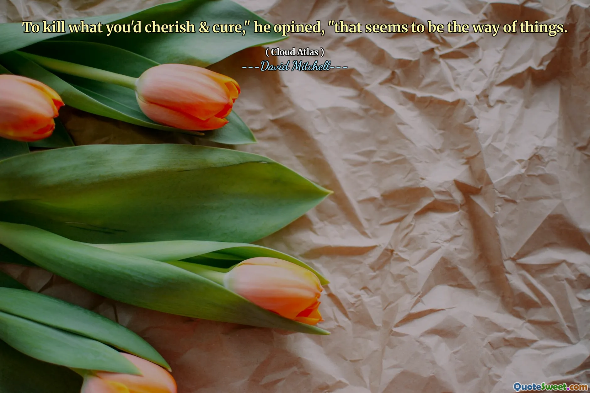 杀死你所珍惜和治愈的东西，”他认为，“这似乎就是事情的方式。