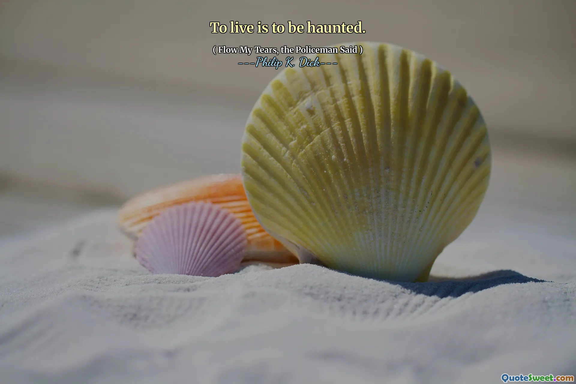 To live is to be haunted.