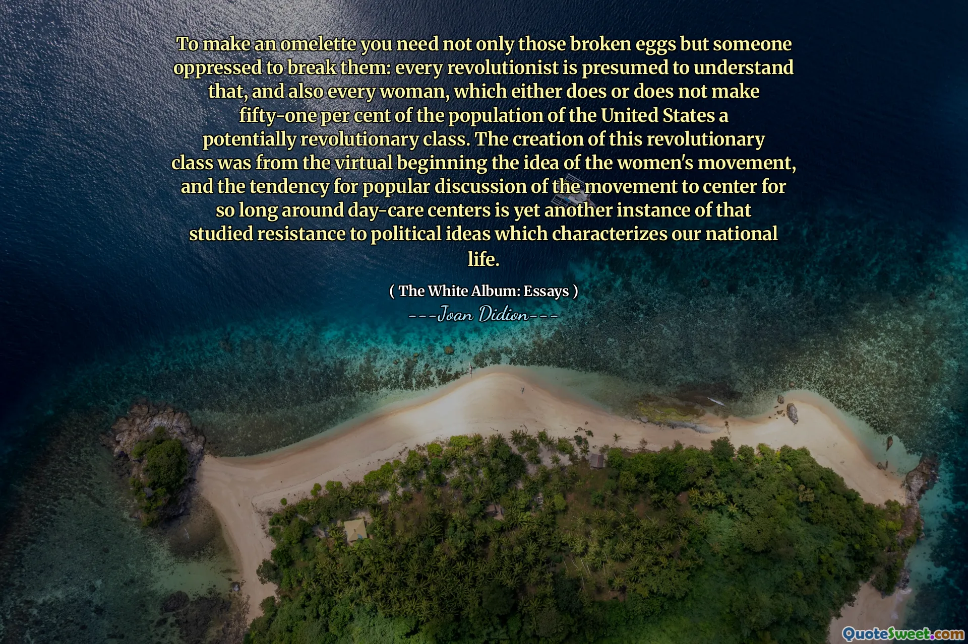 Bir omlet yapmak için sadece bu kırık yumurtalara da ihtiyacınız var, aynı zamanda onları kırmak için ezildi: her devrimcinin bunu anladığı varsayılır ve aynı zamanda Amerika Birleşik Devletleri nüfusunun yüzde elli birini potansiyel olarak devrimci bir sınıf yapan veya yapmayan her kadın. Bu devrimci sınıfın yaratılması, kadın hareketi fikrinden gelen sanal başlangıçtan ve gündüz bakım merkezleri etrafında bu kadar uzun süre merkezleme hareketinin popüler tartışma eğilimi, ulusal yaşamımızı karakterize eden politik fikirlere karşı incelenen direnişin bir başka örneğidir.