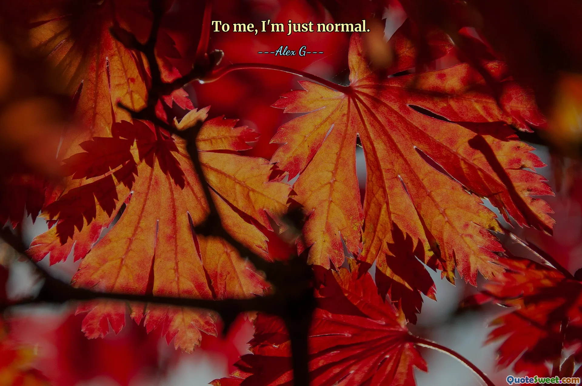 To me, I'm just normal.