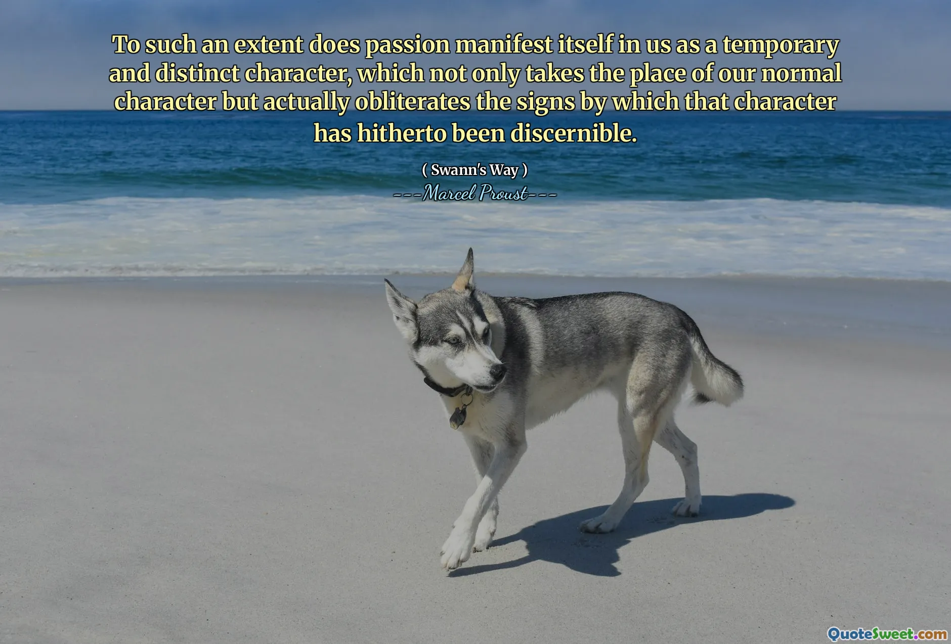 To such an extent does passion manifest itself in us as a temporary and distinct character, which not only takes the place of our normal character but actually obliterates the signs by which that character has hitherto been discernible.