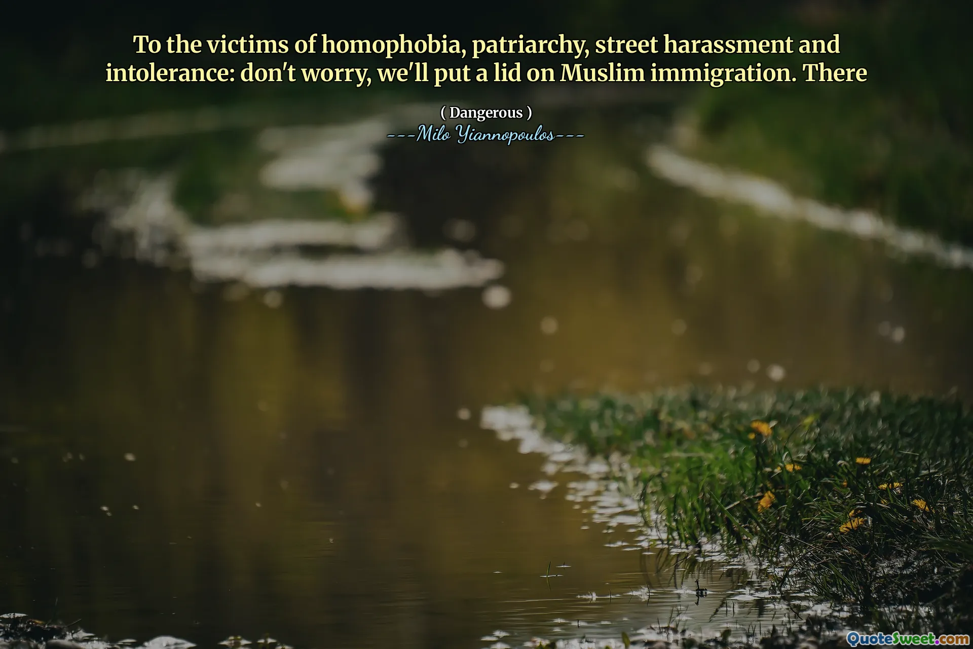 To the victims of homophobia, patriarchy, street harassment and intolerance: don't worry, we'll put a lid on Muslim immigration. There