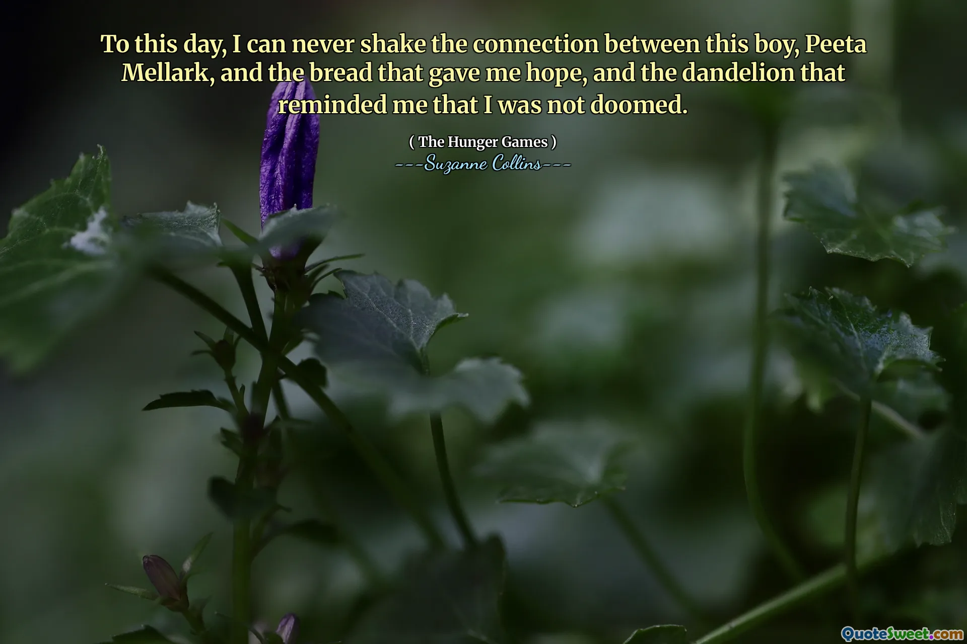 To this day, I can never shake the connection between this boy, Peeta Mellark, and the bread that gave me hope, and the dandelion that reminded me that I was not doomed.