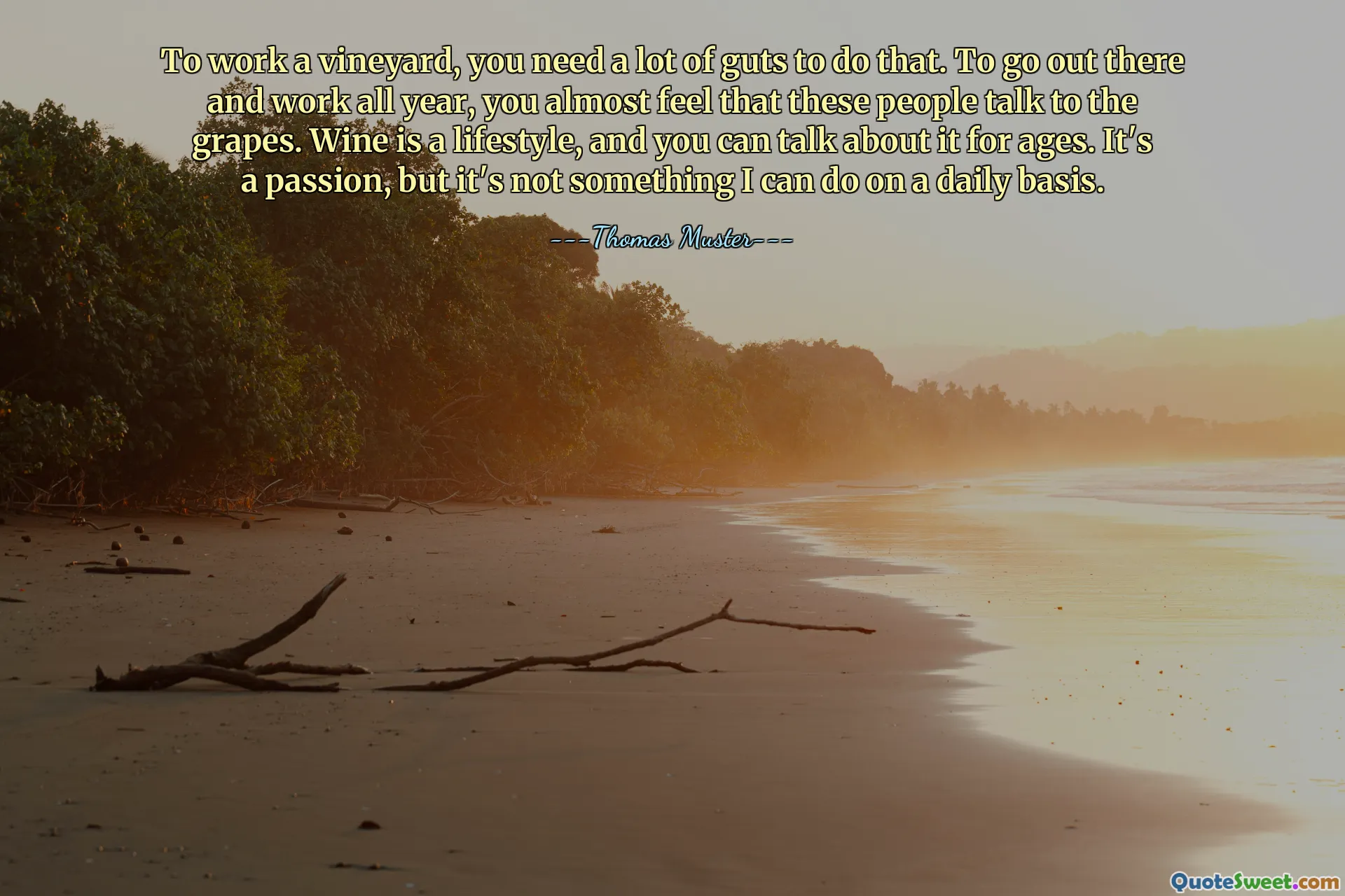To work a vineyard, you need a lot of guts to do that. To go out there and work all year, you almost feel that these people talk to the grapes. Wine is a lifestyle, and you can talk about it for ages. It's a passion, but it's not something I can do on a daily basis.