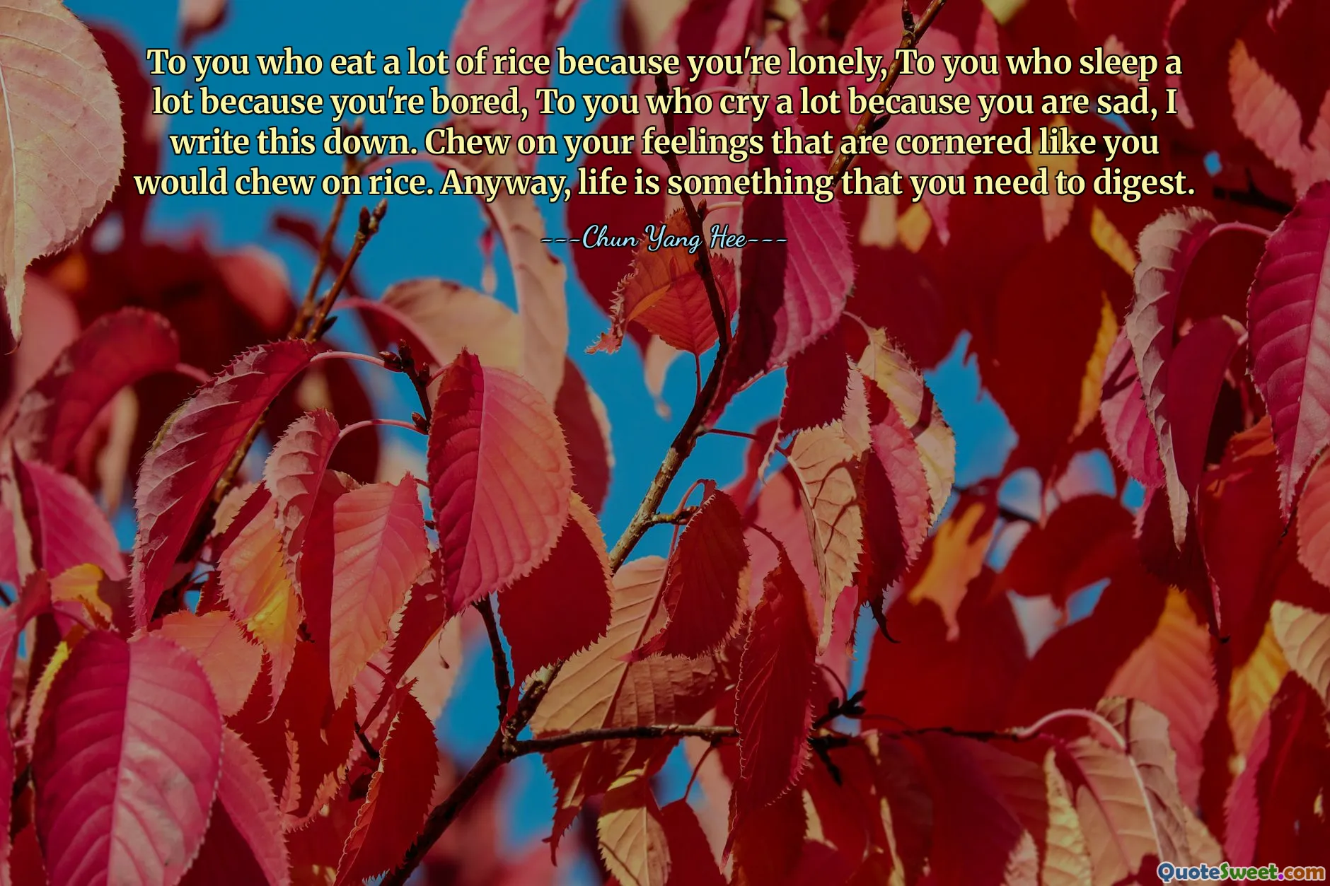 To you who eat a lot of rice because you're lonely, To you who sleep a lot because you're bored, To you who cry a lot because you are sad, I write this down. Chew on your feelings that are cornered like you would chew on rice. Anyway, life is something that you need to digest.