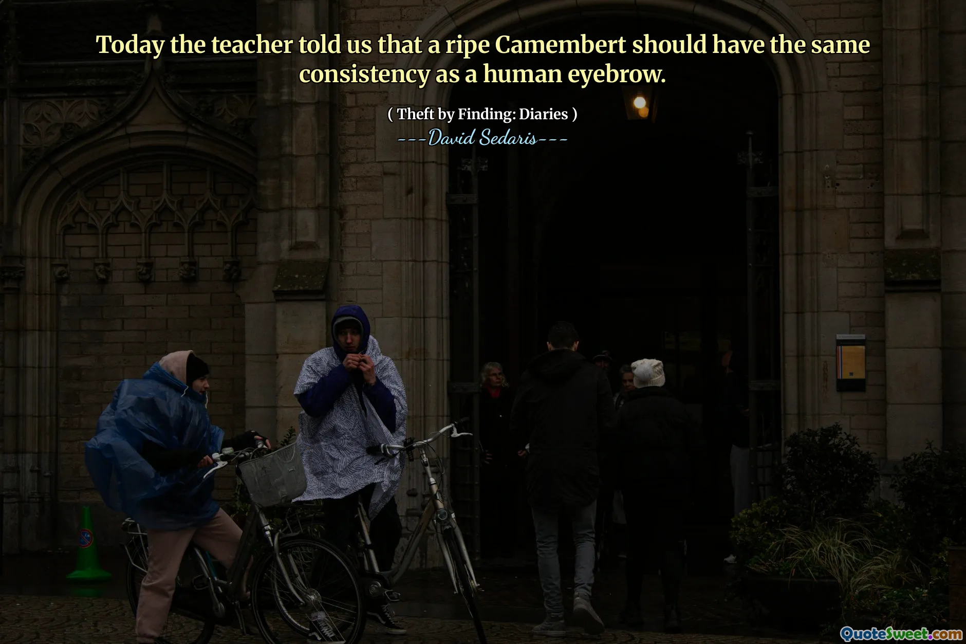 Today the teacher told us that a ripe Camembert should have the same consistency as a human eyebrow.