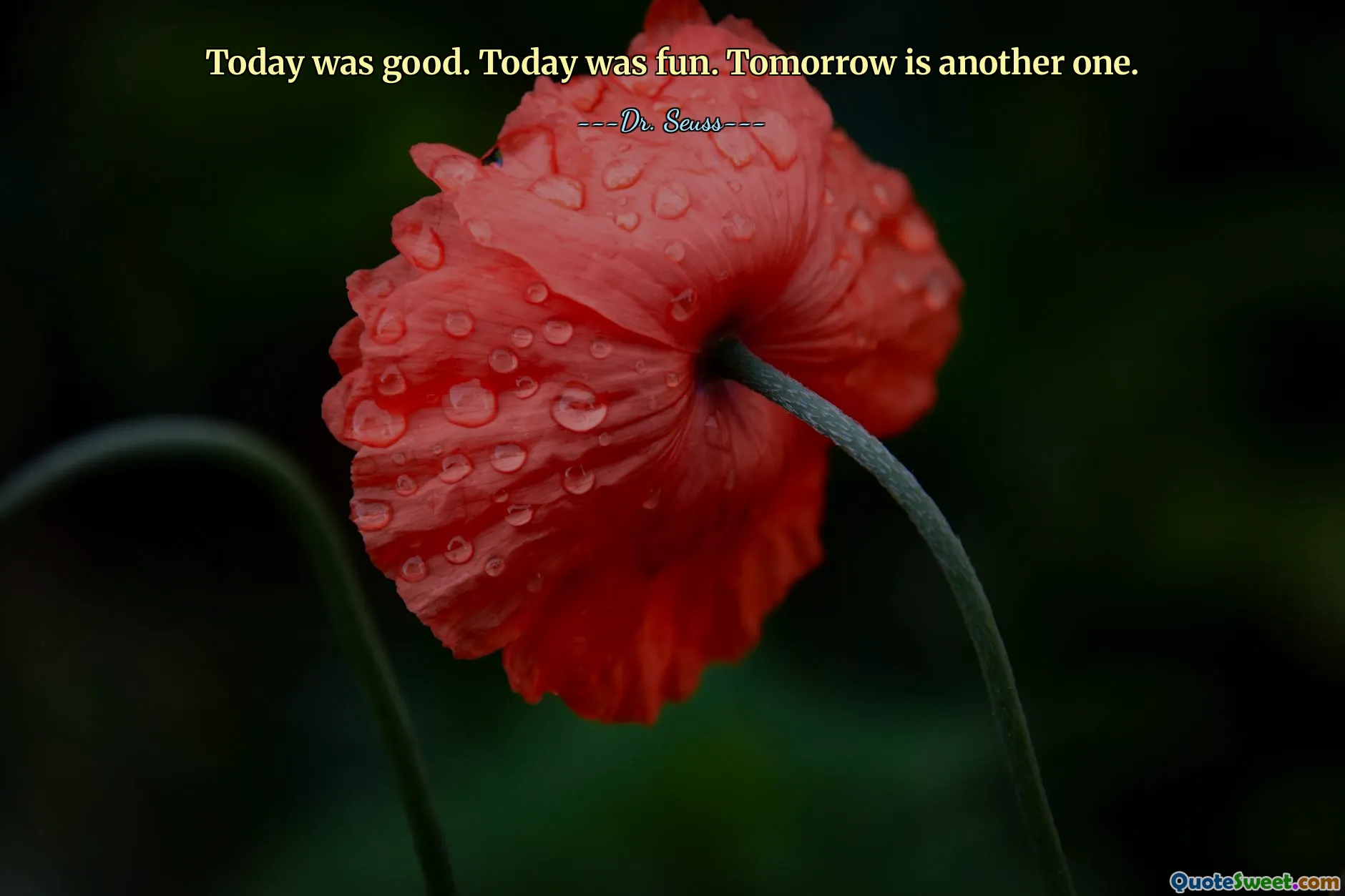 Today was good. Today was fun. Tomorrow is another one.