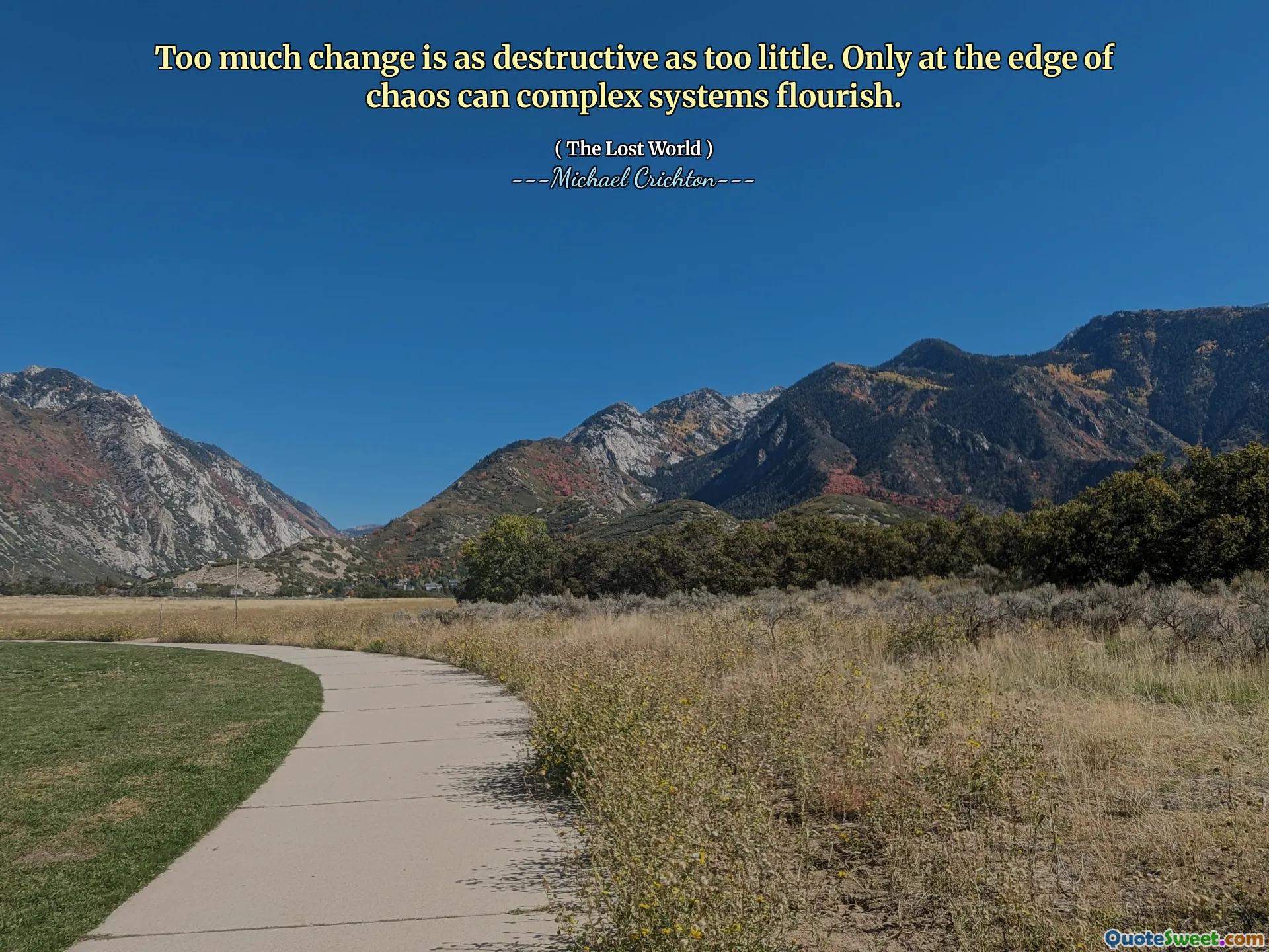 Prea multă schimbare este la fel de distructivă la fel de puțin. Doar la marginea haosului poate înflori sistemele complexe.