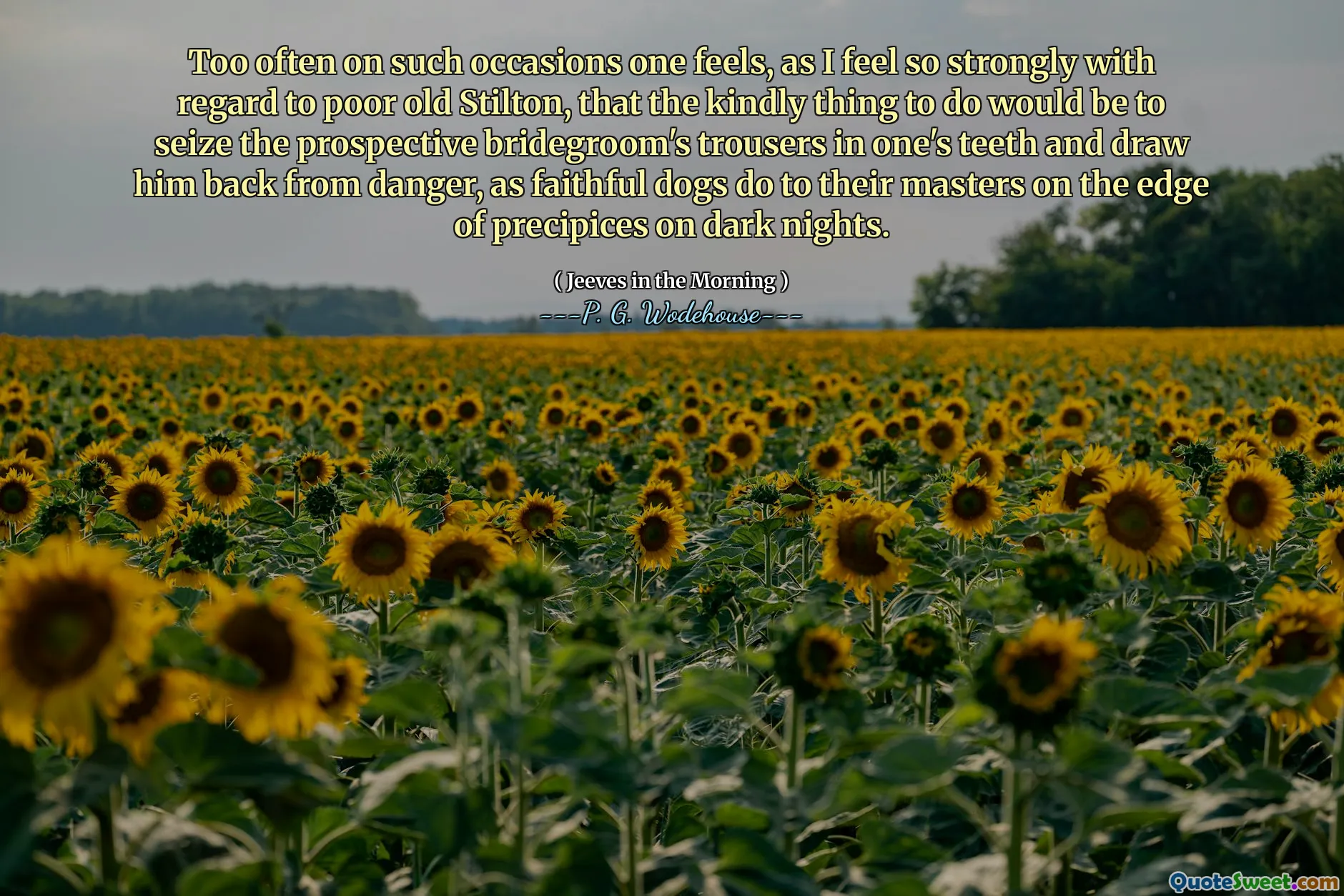 Too often on such occasions one feels, as I feel so strongly with regard to poor old Stilton, that the kindly thing to do would be to seize the prospective bridegroom's trousers in one's teeth and draw him back from danger, as faithful dogs do to their masters on the edge of precipices on dark nights.