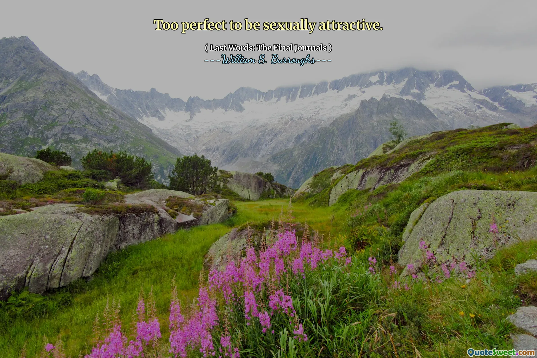 太完美了，无法性吸引力。