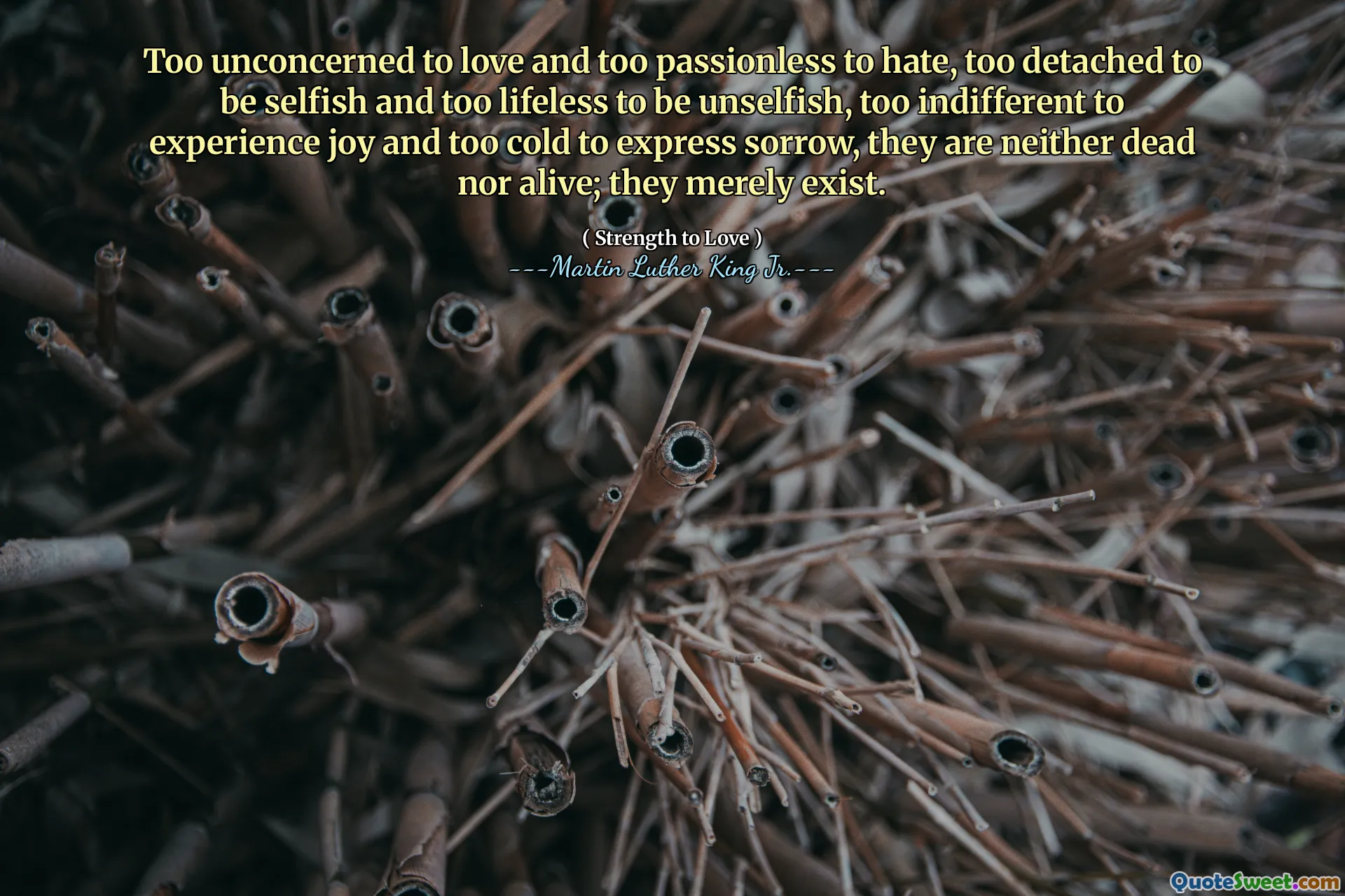 Too unconcerned to love and too passionless to hate, too detached to be selfish and too lifeless to be unselfish, too indifferent to experience joy and too cold to express sorrow, they are neither dead nor alive; they merely exist.
