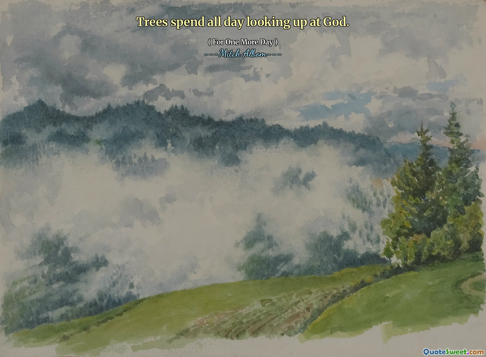 Trees spend all day looking up at God.