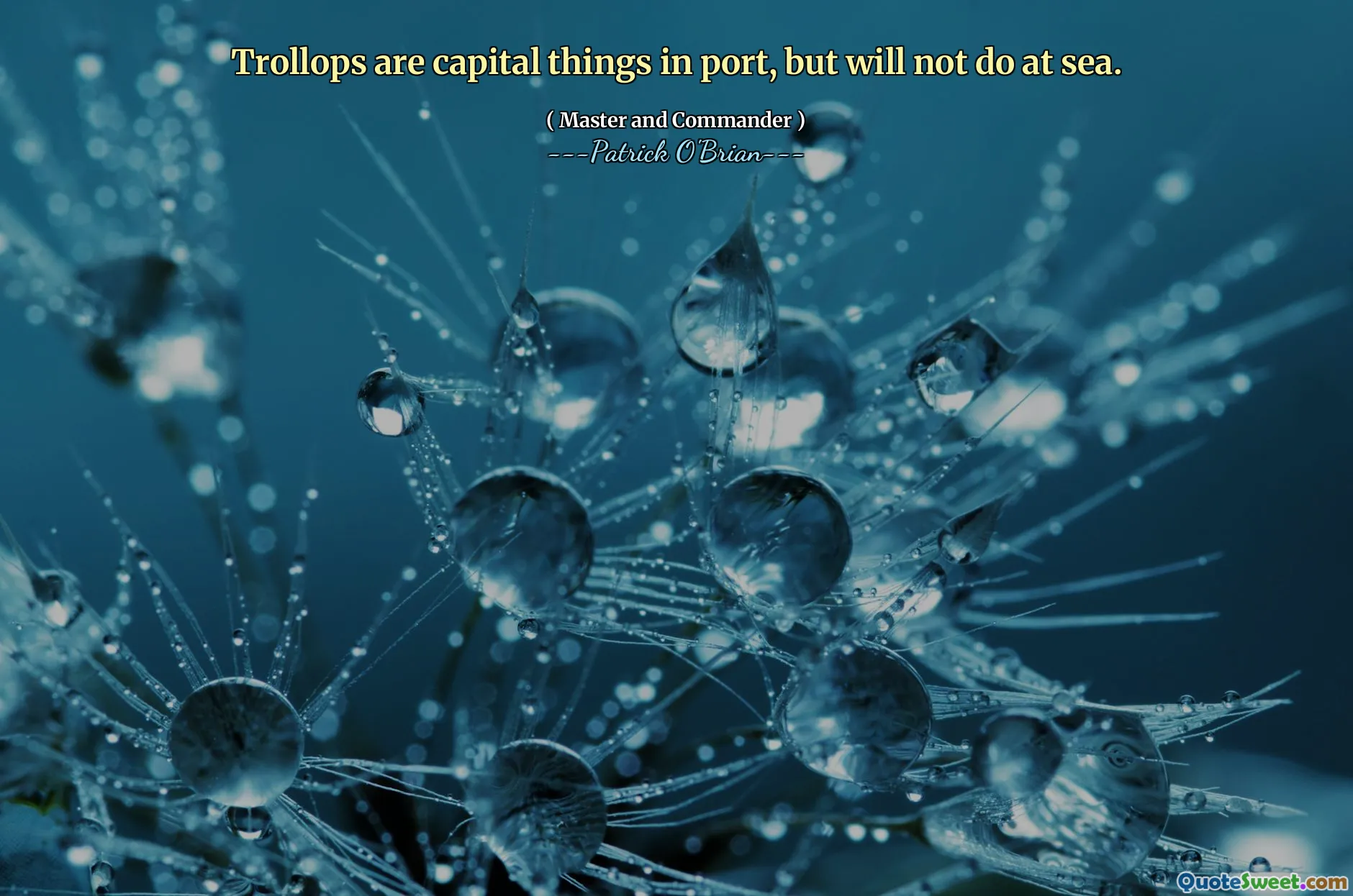 Trollops are capital things in port, but will not do at sea.