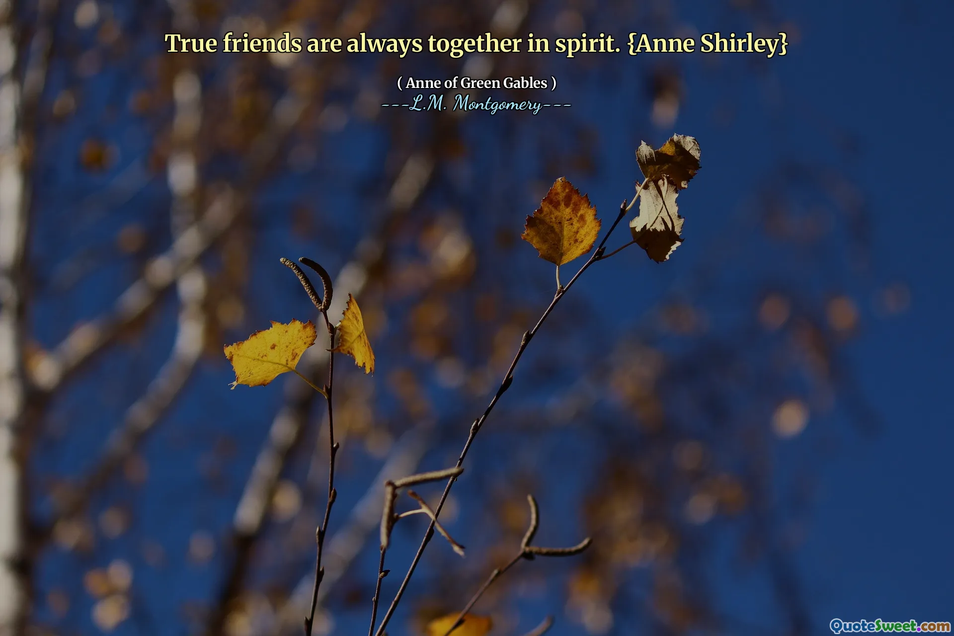 True friends are always together in spirit. {Anne Shirley}