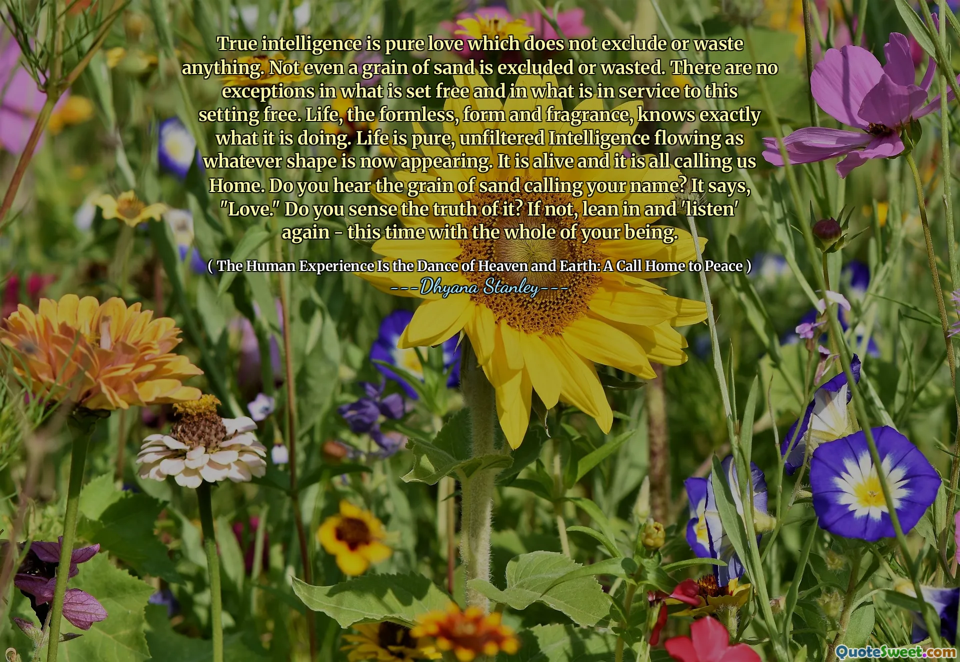 True intelligence is pure love which does not exclude or waste anything. Not even a grain of sand is excluded or wasted. There are no exceptions in what is set free and in what is in service to this setting free. Life, the formless, form and fragrance, knows exactly what it is doing. Life is pure, unfiltered Intelligence flowing as whatever shape is now appearing. It is alive and it is all calling us Home. Do you hear the grain of sand calling your name? It says, "Love." Do you sense the truth of it? If not, lean in and 'listen' again - this time with the whole of your being.