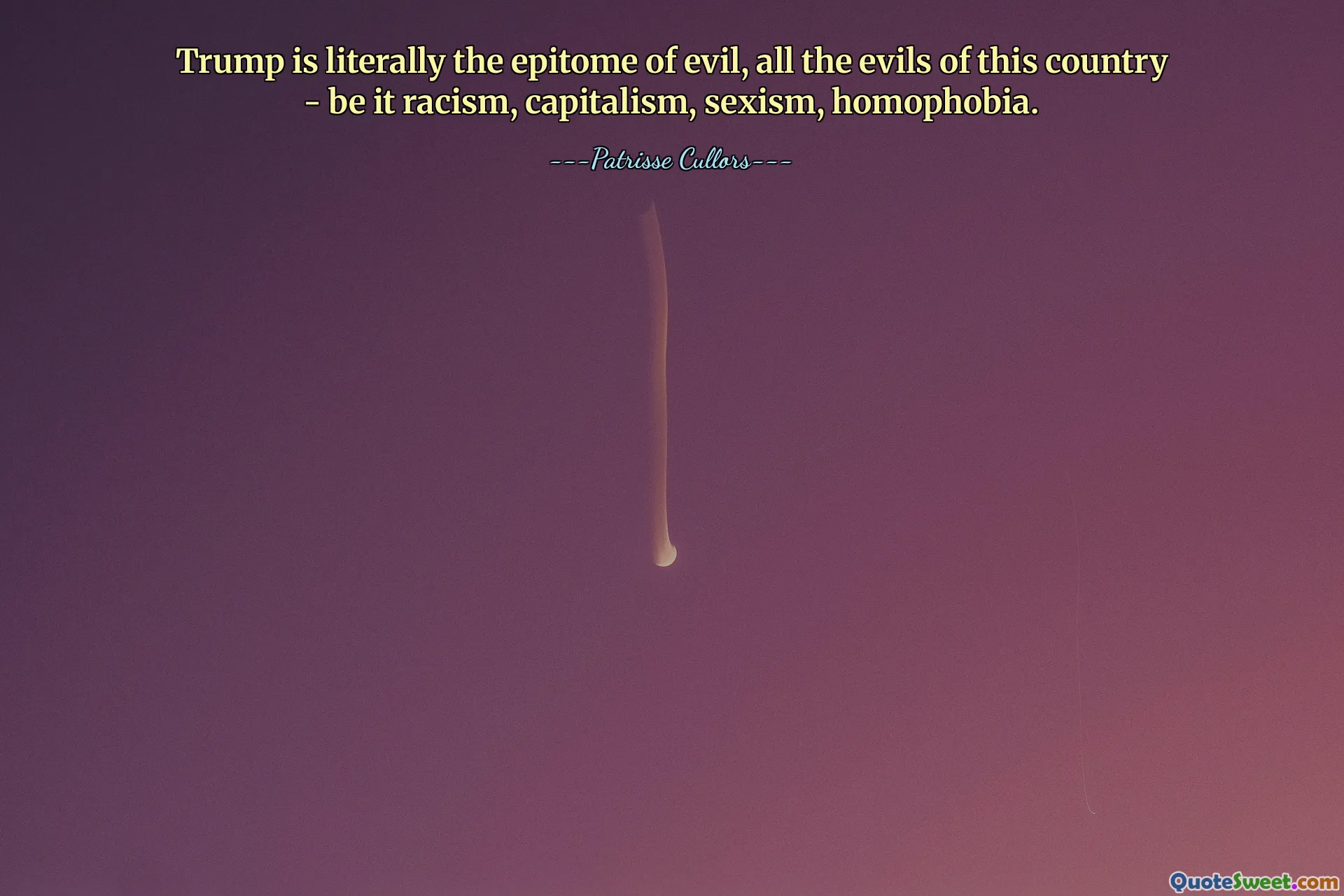 Trump is literally the epitome of evil, all the evils of this country - be it racism, capitalism, sexism, homophobia.