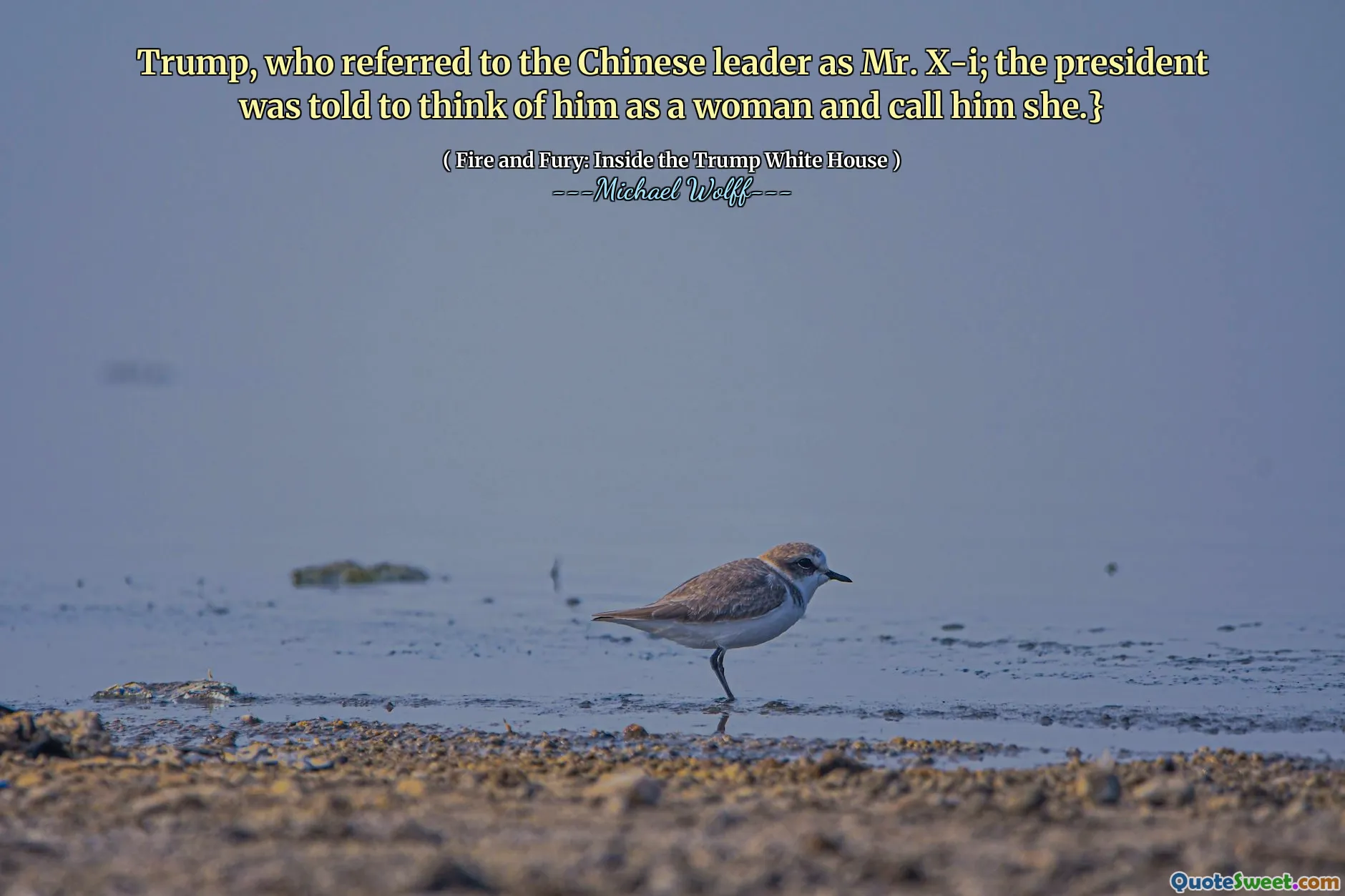 Trump, who referred to the Chinese leader as Mr. X-i; the president was told to think of him as a woman and call him she.}