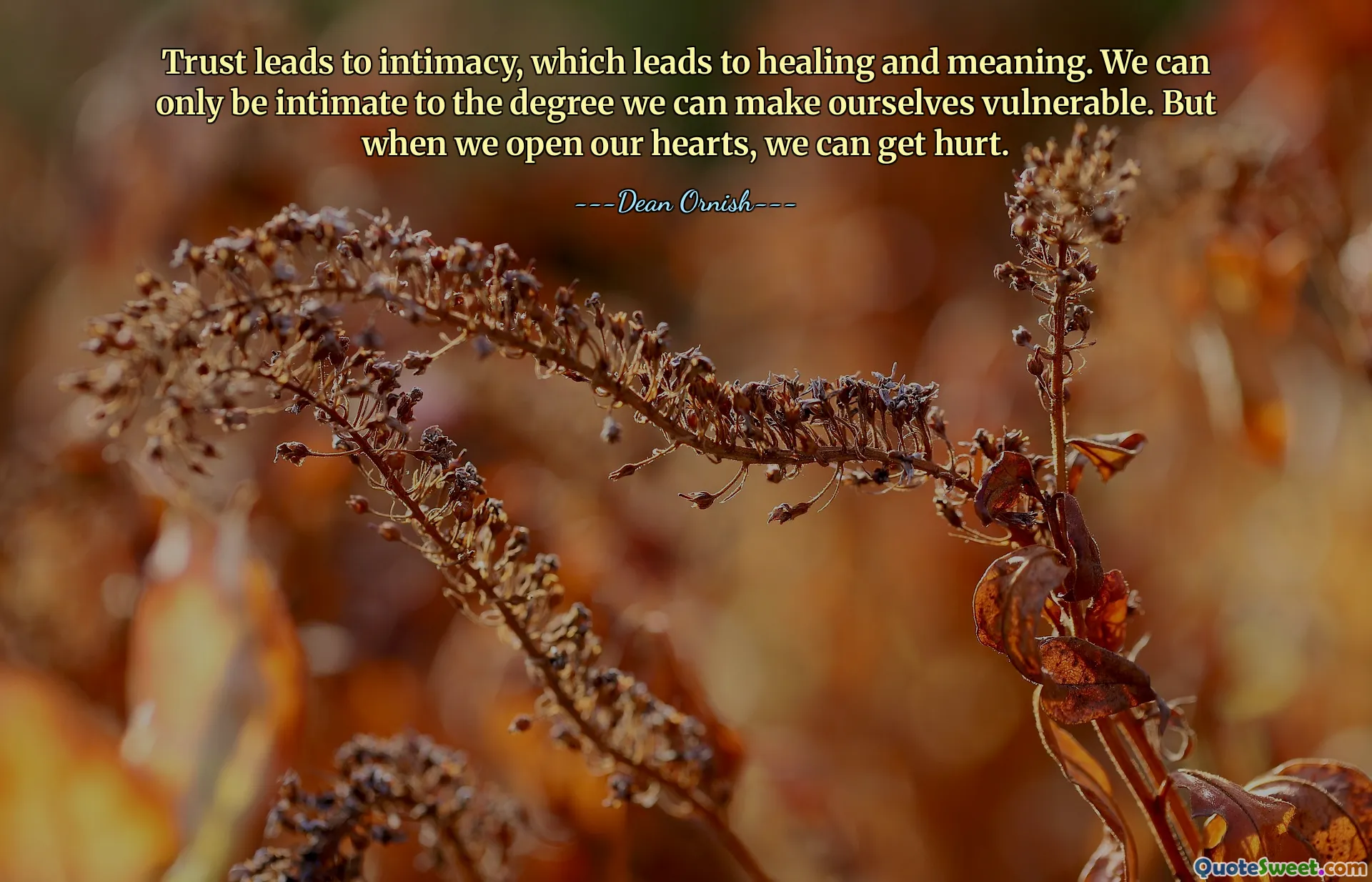 Trust leads to intimacy, which leads to healing and meaning. We can only be intimate to the degree we can make ourselves vulnerable. But when we open our hearts, we can get hurt.