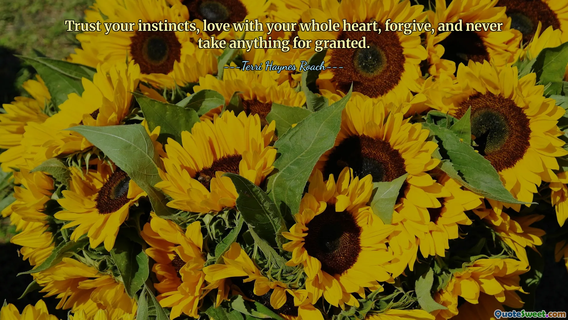 Trust your instincts, love with your whole heart, forgive, and never take anything for granted.