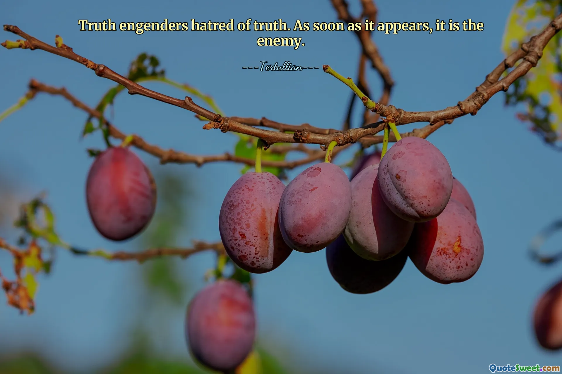 Truth engenders hatred of truth. As soon as it appears, it is the enemy.