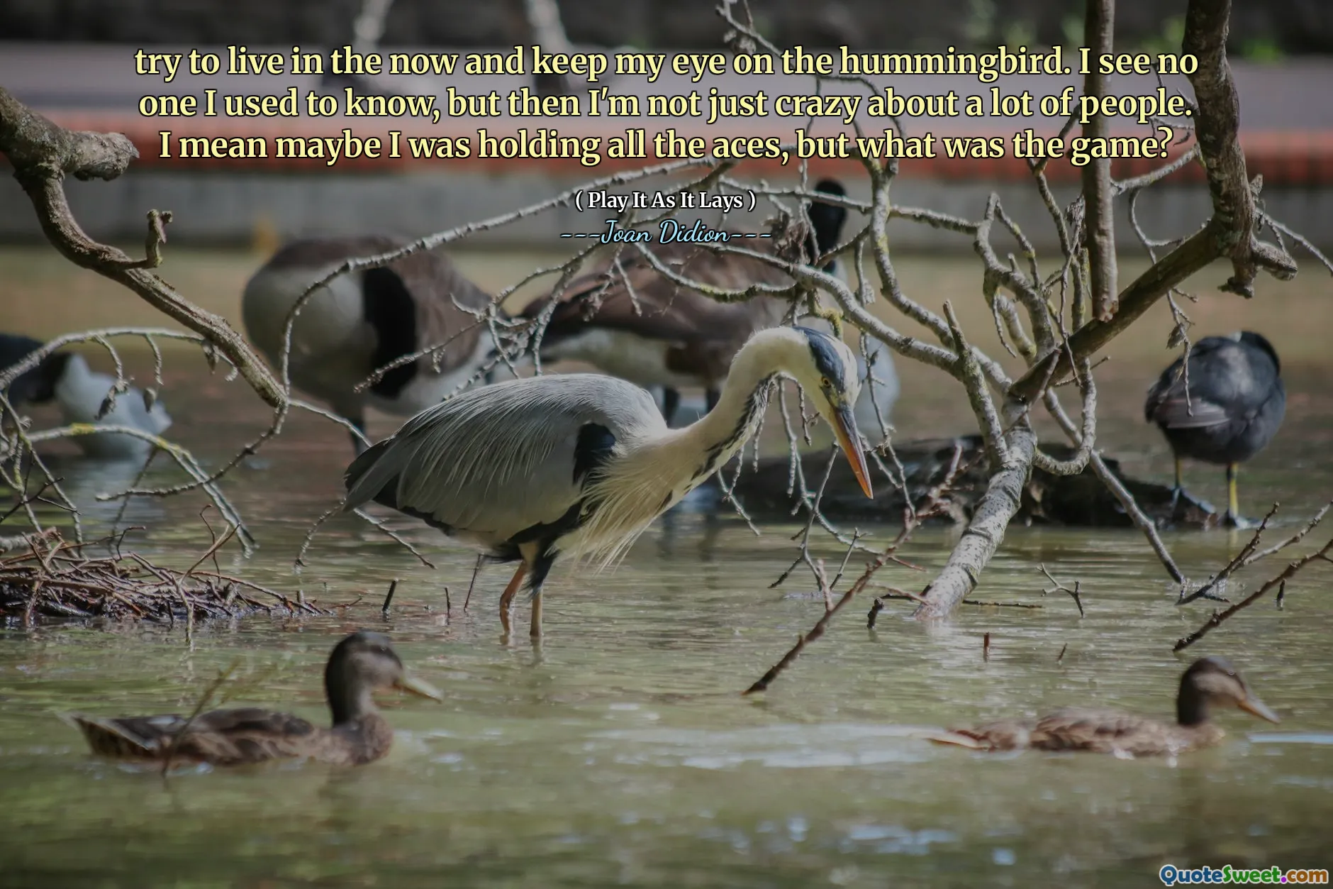 Prova a vivere nel momento e tieni d'occhio il colibrì. Non vedo nessuno che conoscevo, ma poi non sono solo pazzo per molte persone. Voglio dire, forse stavo tenendo tutti gli assi, ma qual era il gioco?