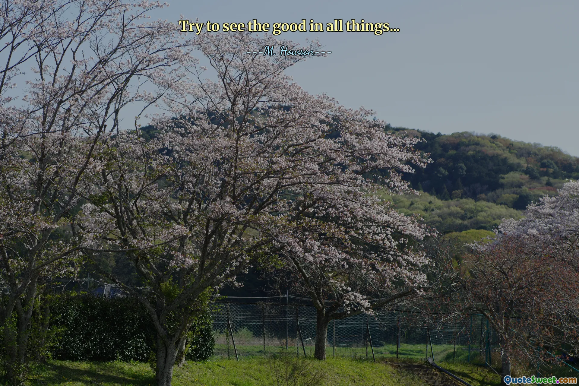 Try to see the good in all things...